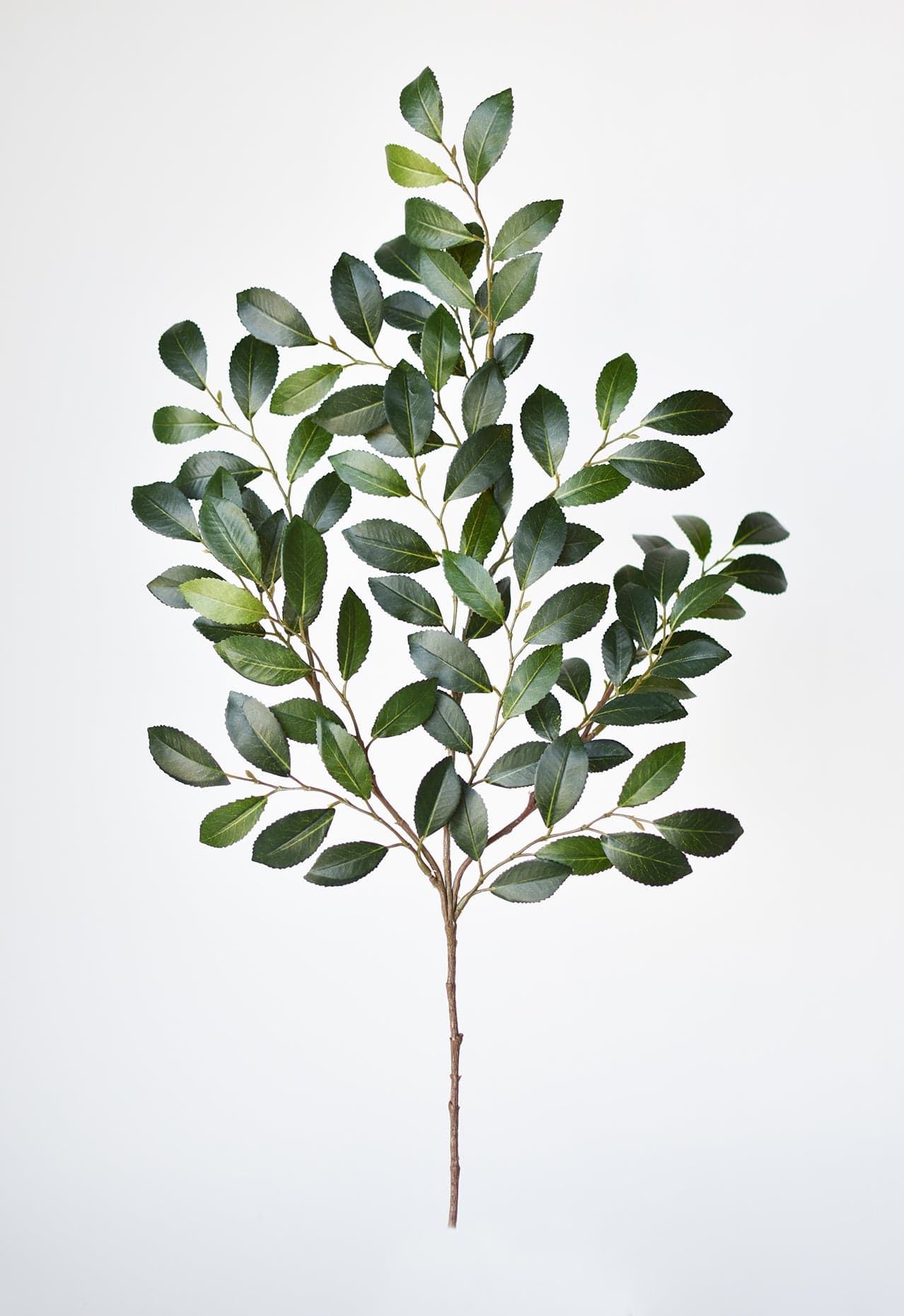 26&amp;quot; Faux Ruscus Leaf Stem