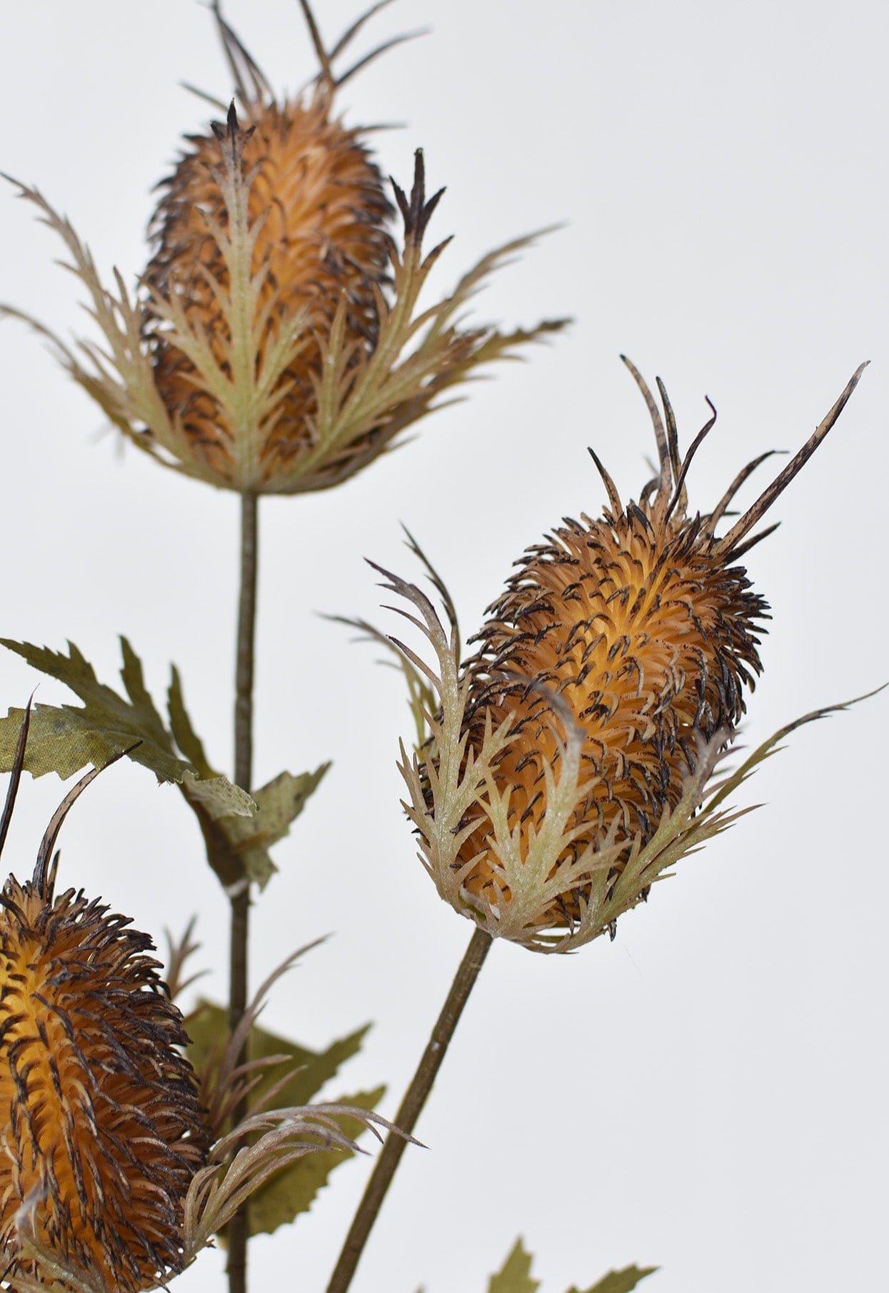 26&amp;quot; Faux Brown Thistle Stem