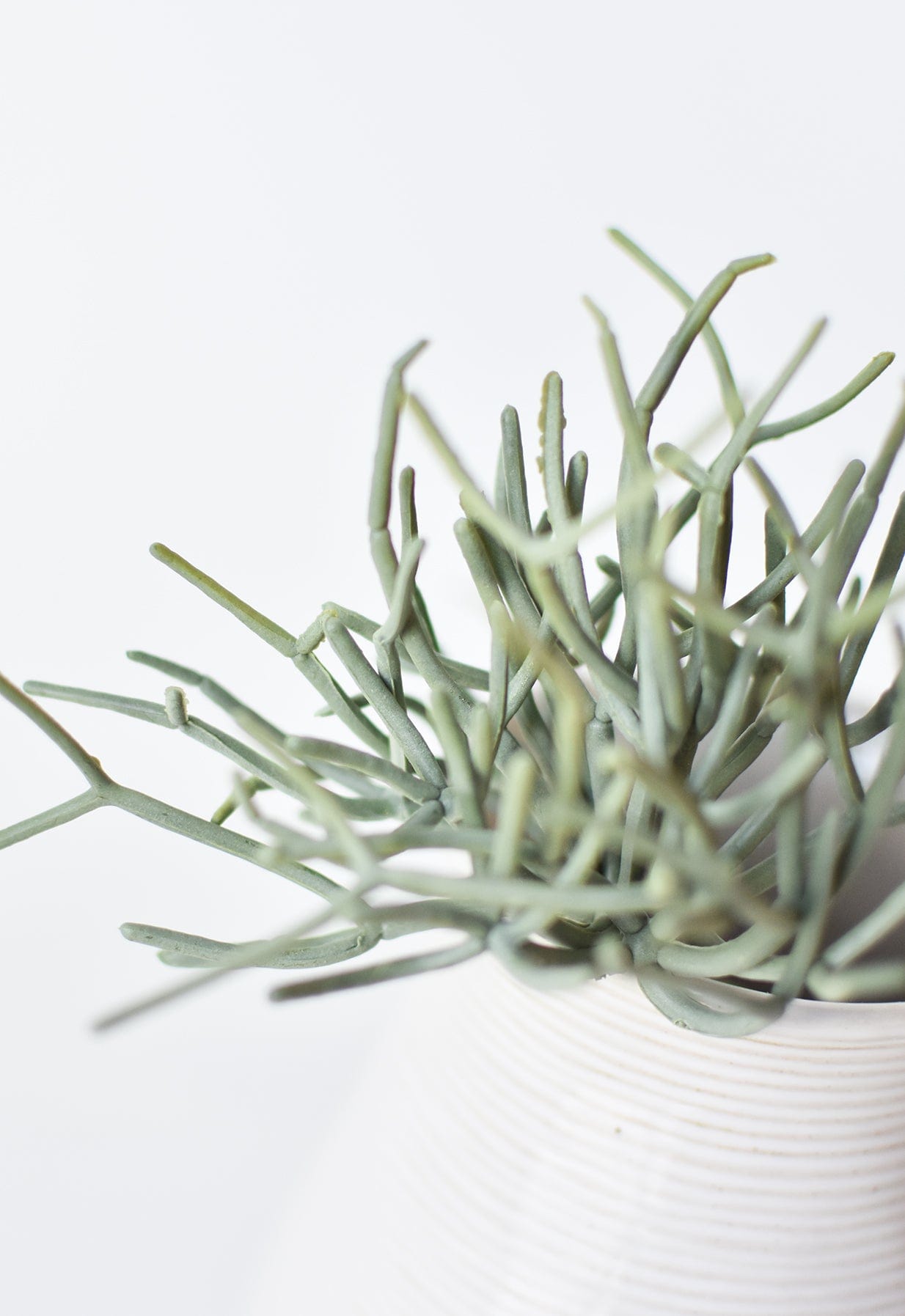 8&amp;quot; Faux Soft Touch Green/Gray Pencil Cactus Pick