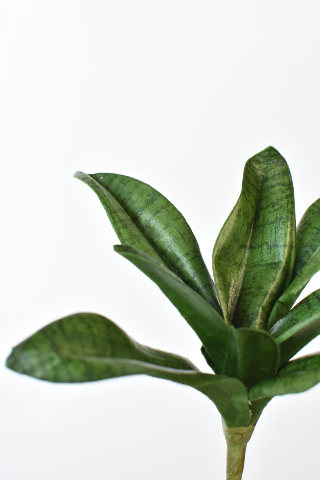 7&amp;quot; Faux Sanseveria Succulent Stem