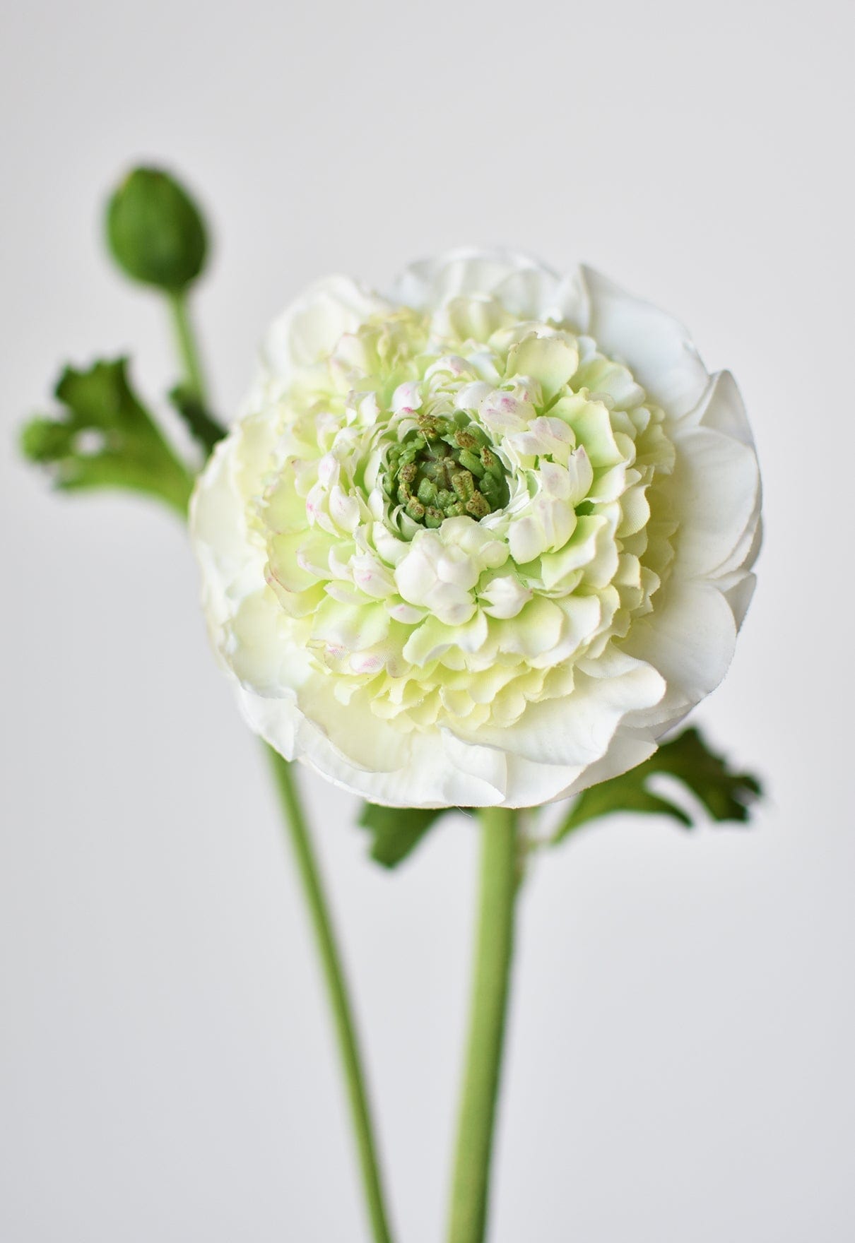 21&amp;quot; Faux Double Ruffled Ranunculus Stem White