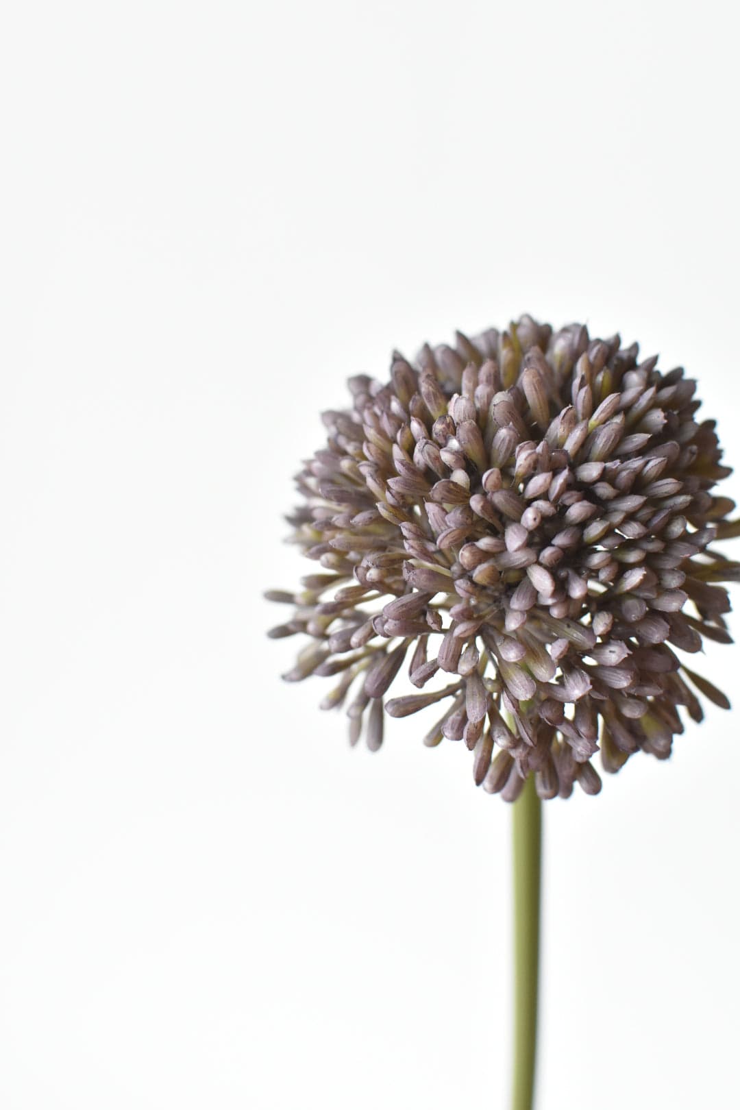 17.5&amp;quot; Faux Purple Allium Spray Stem