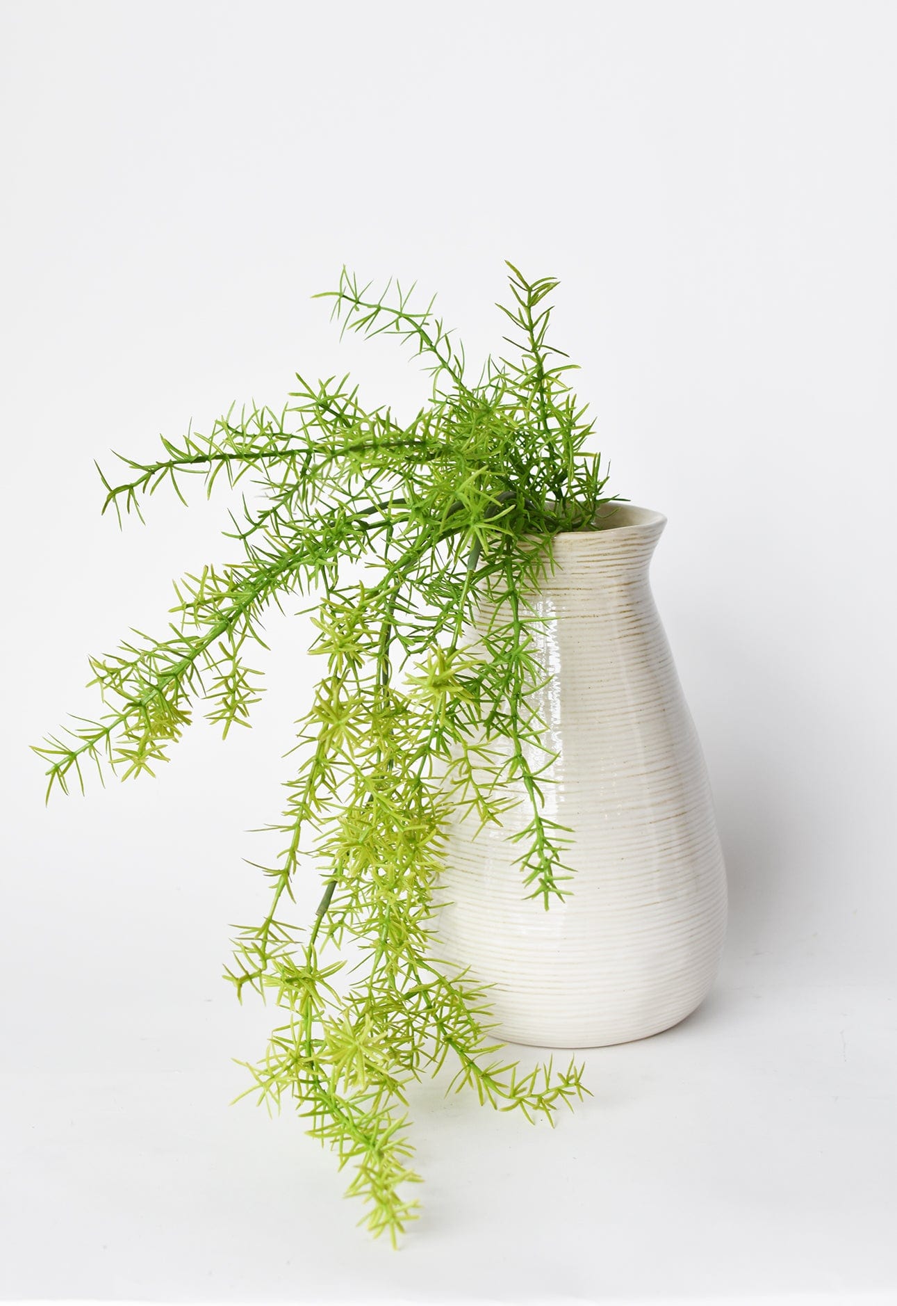 26&amp;quot; Faux Soft Asparagus Fern Sprengeri Bush