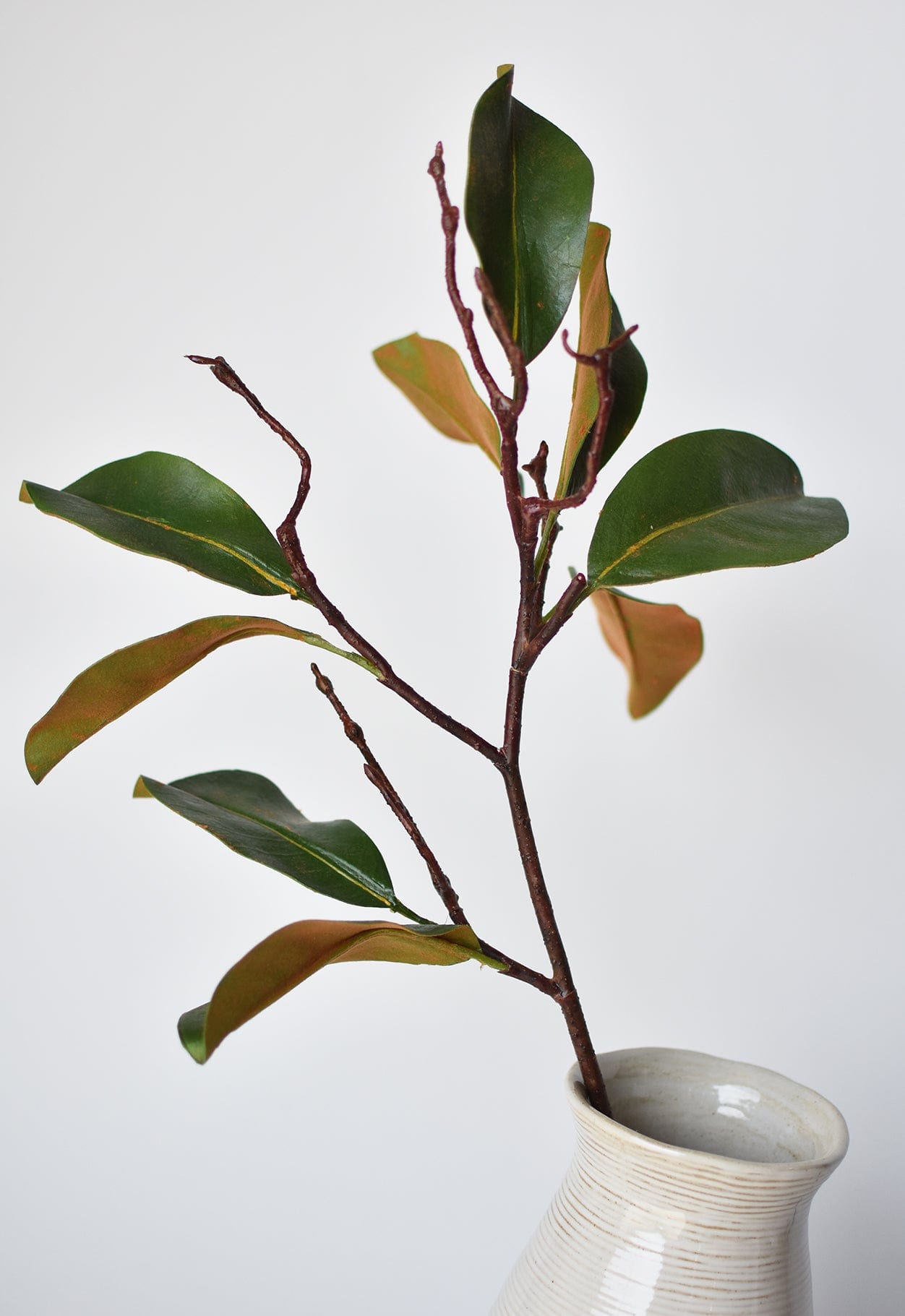 26&amp;quot; magnolia leaf branch