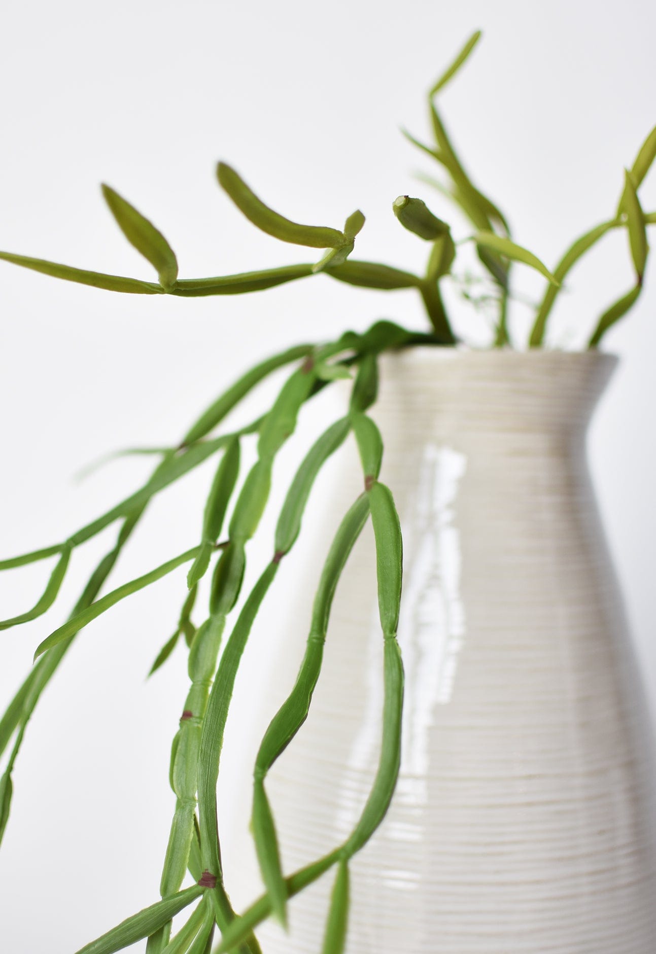 23&amp;quot; Faux Hanging Pencil Cactus Succulent Bush