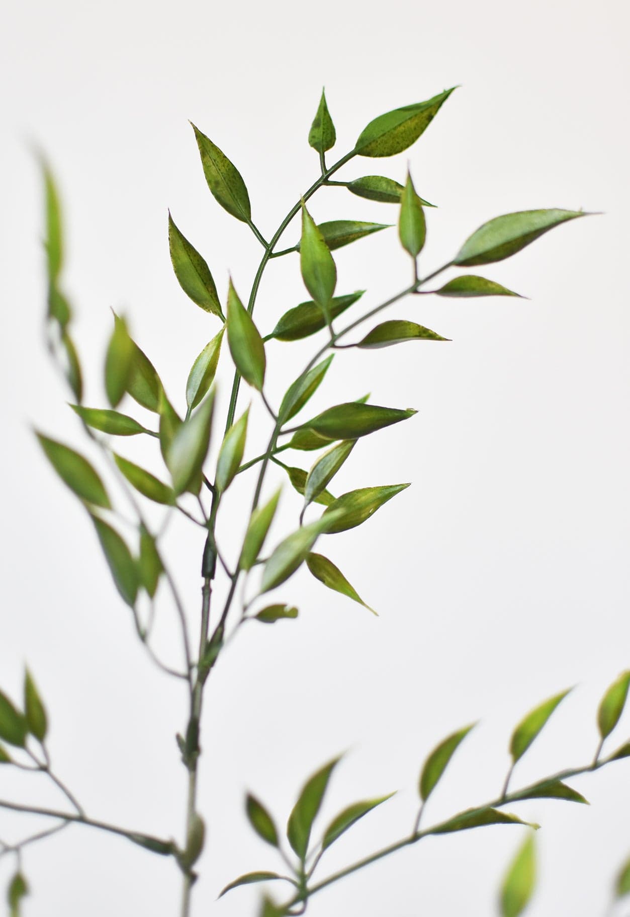 27&amp;quot; Faux Mini Bamboo Leaf Stem