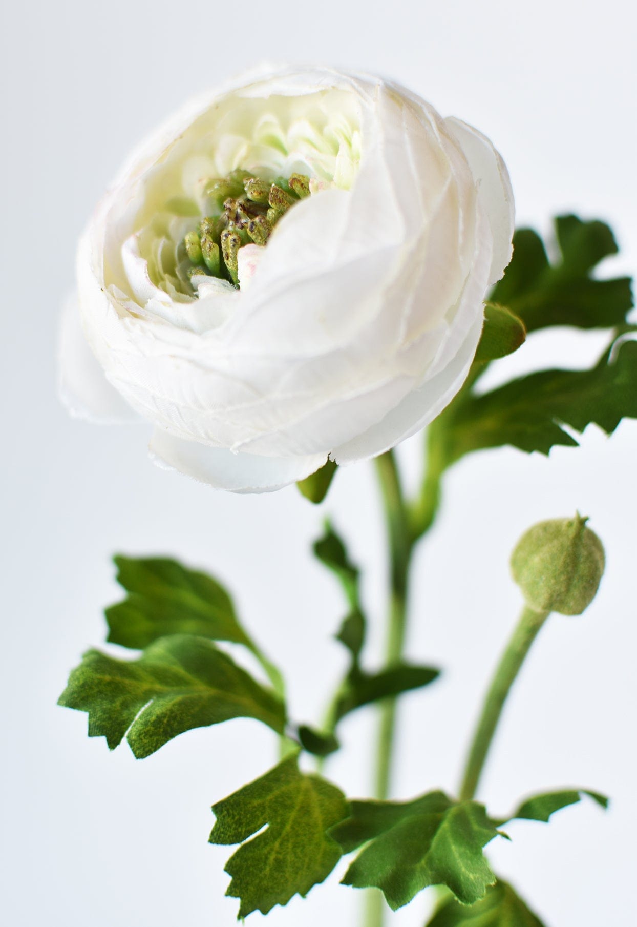 13&amp;quot; Faux White Ranunculus Stem