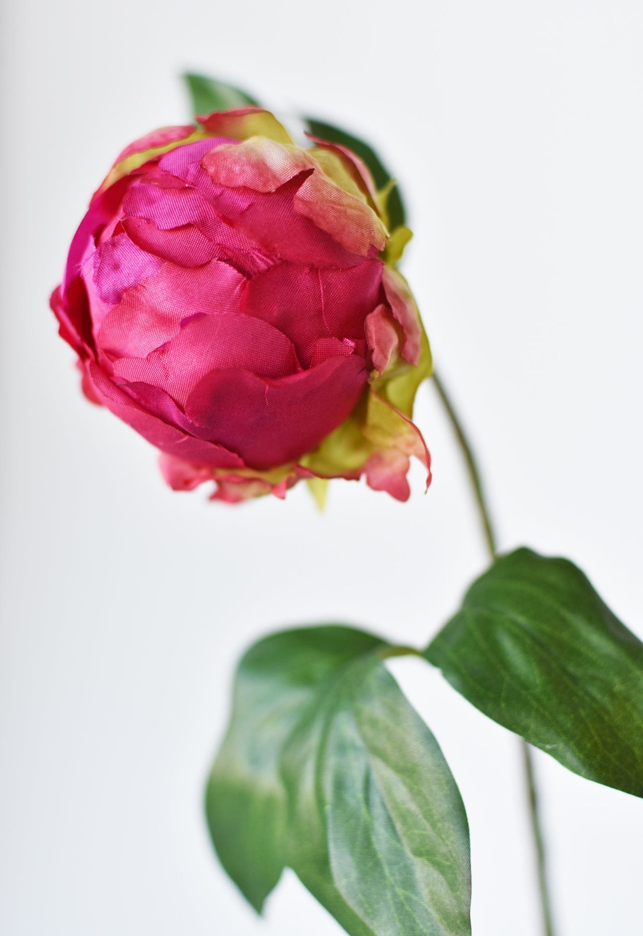 18&amp;quot; Faux Peony Bud Stem Fuchsia