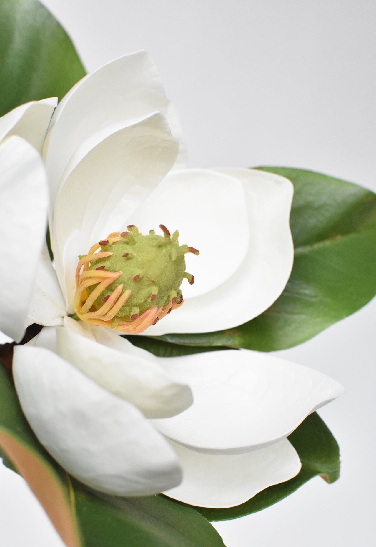 24&amp;quot; Faux Magnolia Blossom Stem