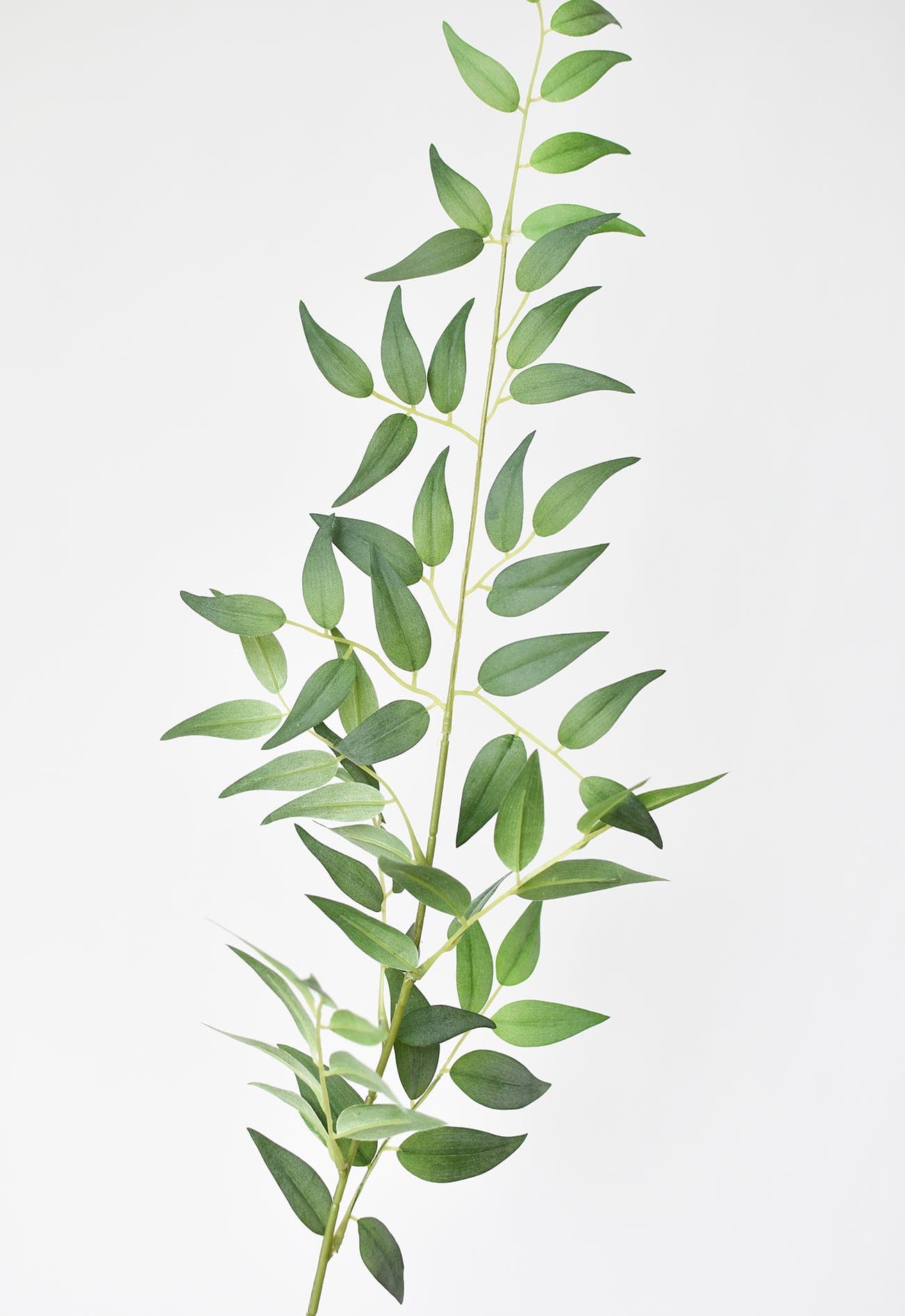 36&amp;quot; Faux Italian Ruscus Stem