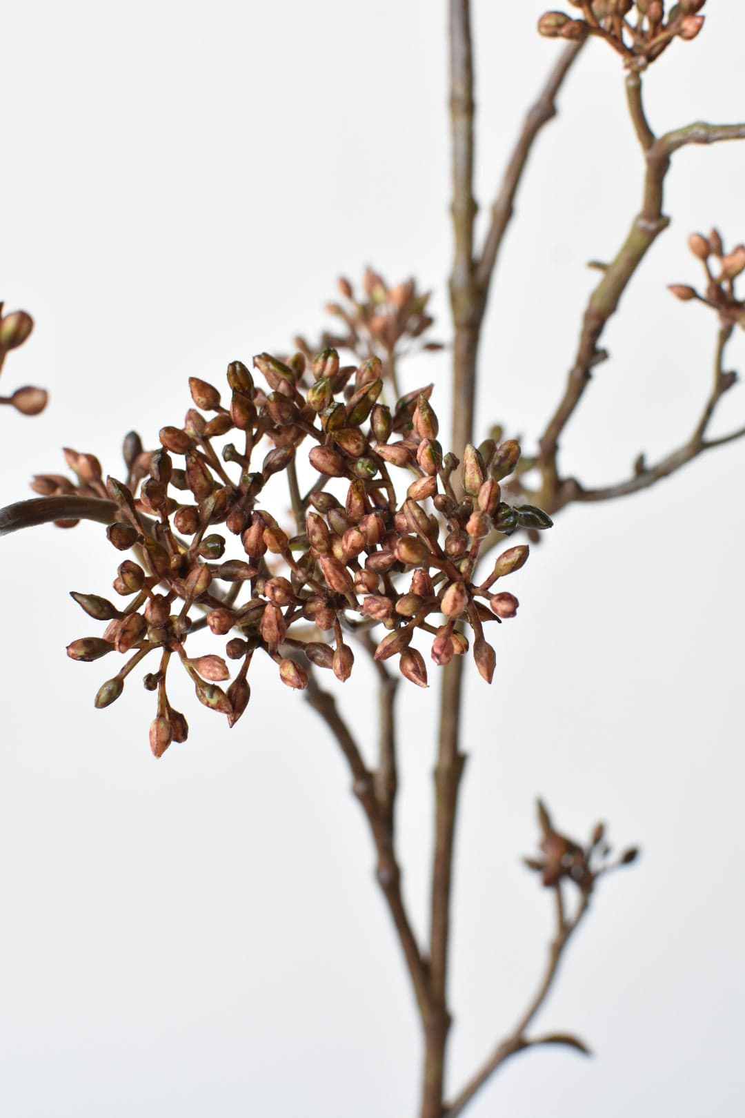 38&amp;quot; Faux Brown Sedum Berry Branch