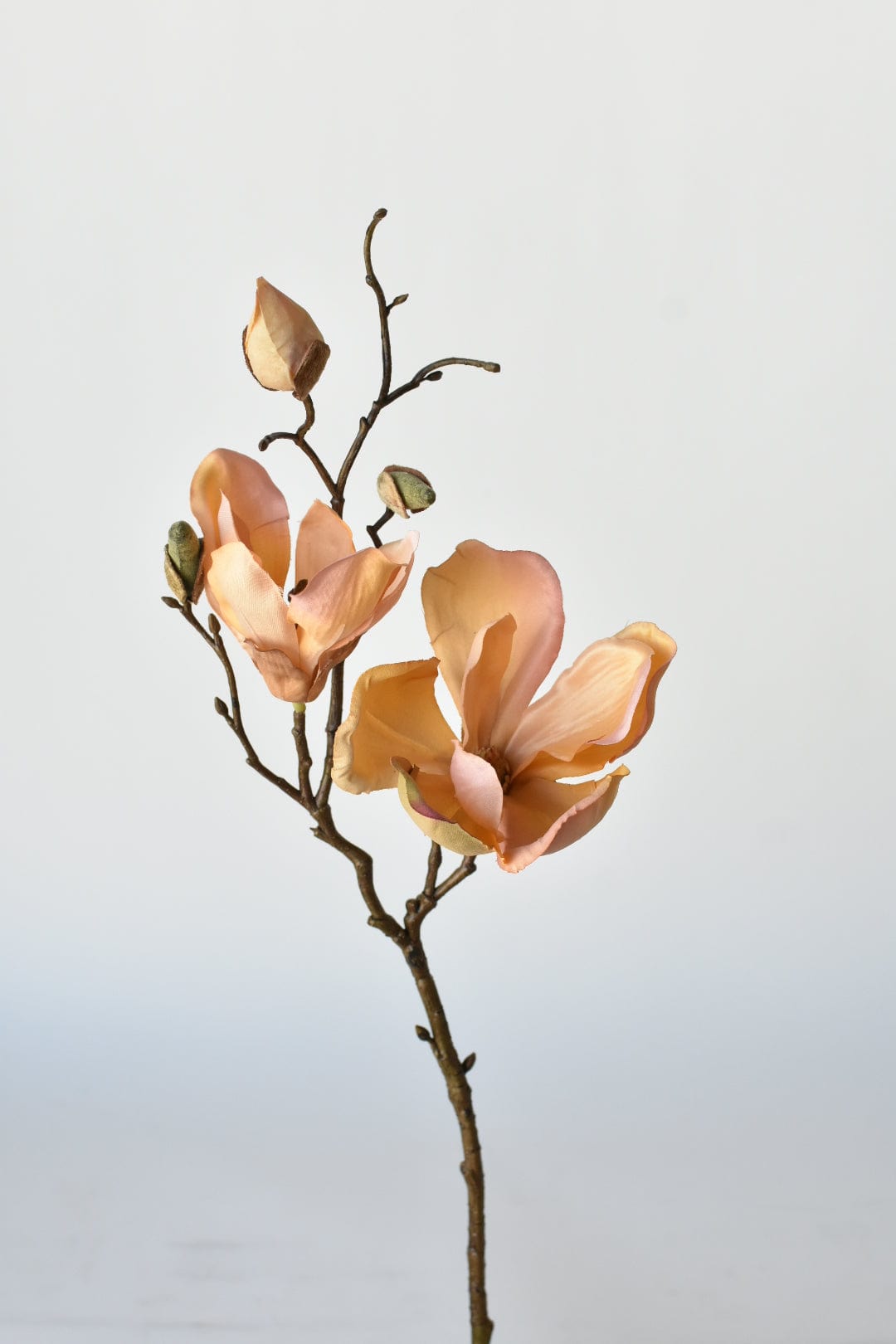 19&amp;quot; Faux Magnolia Stem Light Orange/Pink