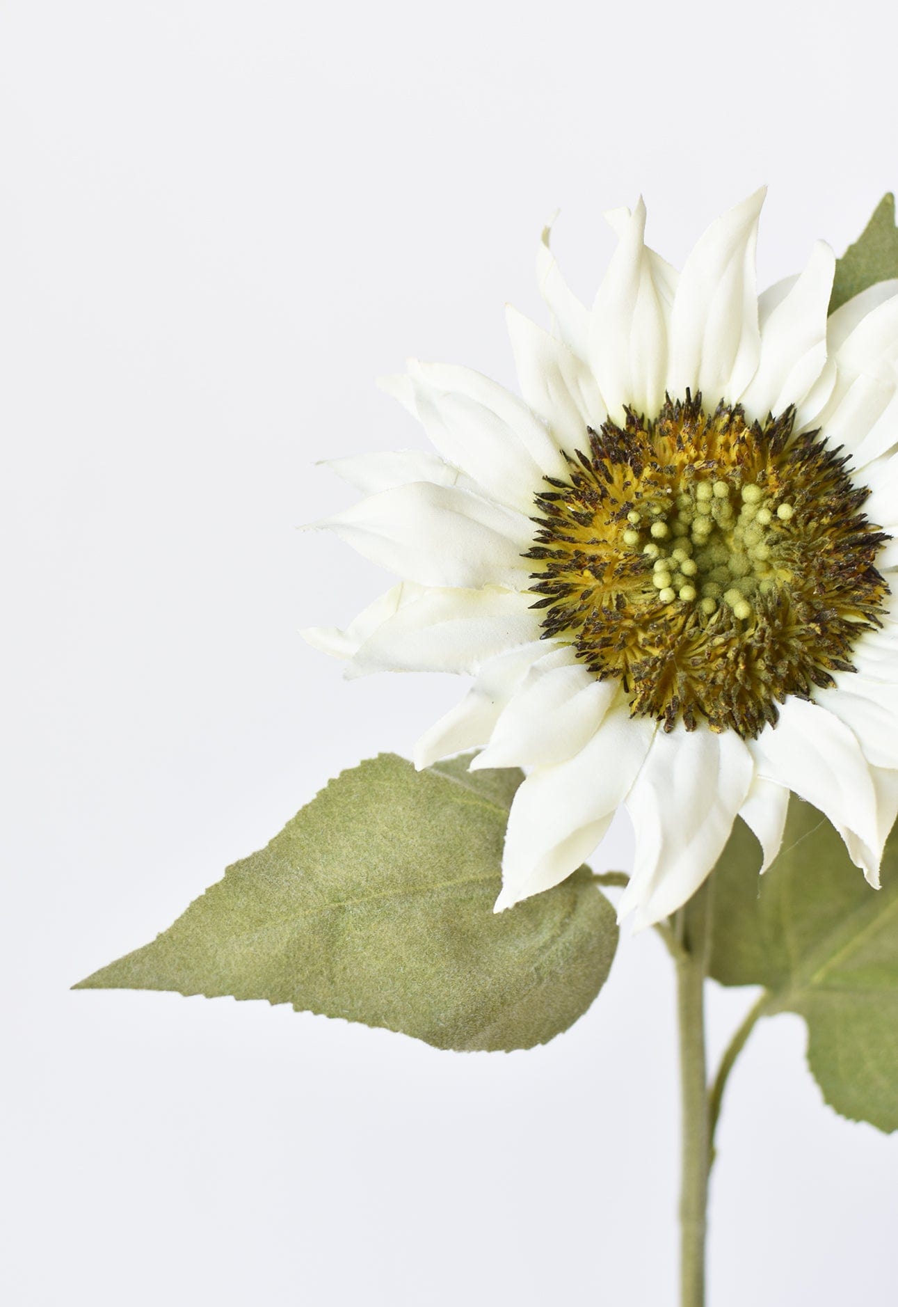 25&amp;quot; Faux Sunflower Stem White
