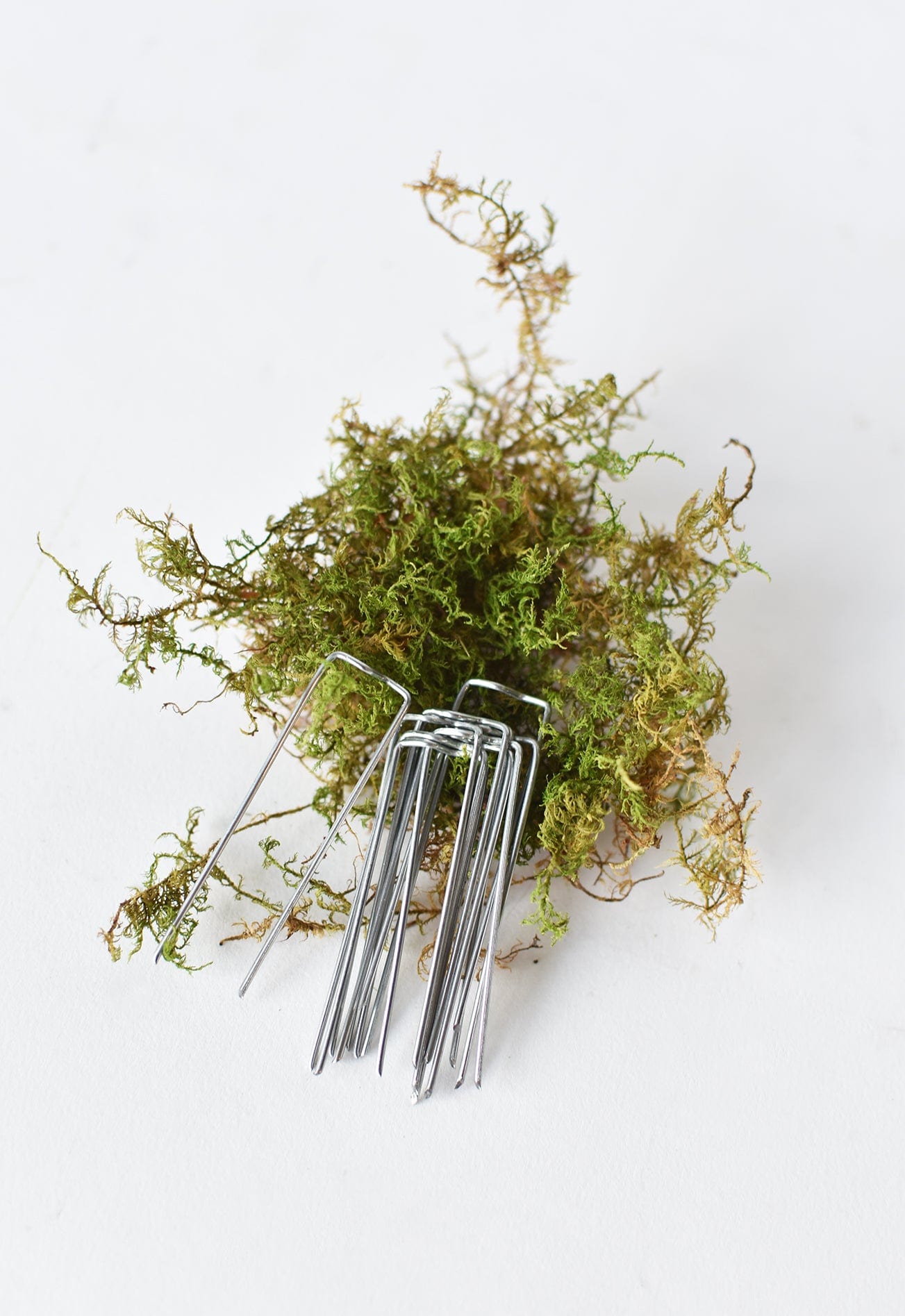 Floral Pins (Set of 10)