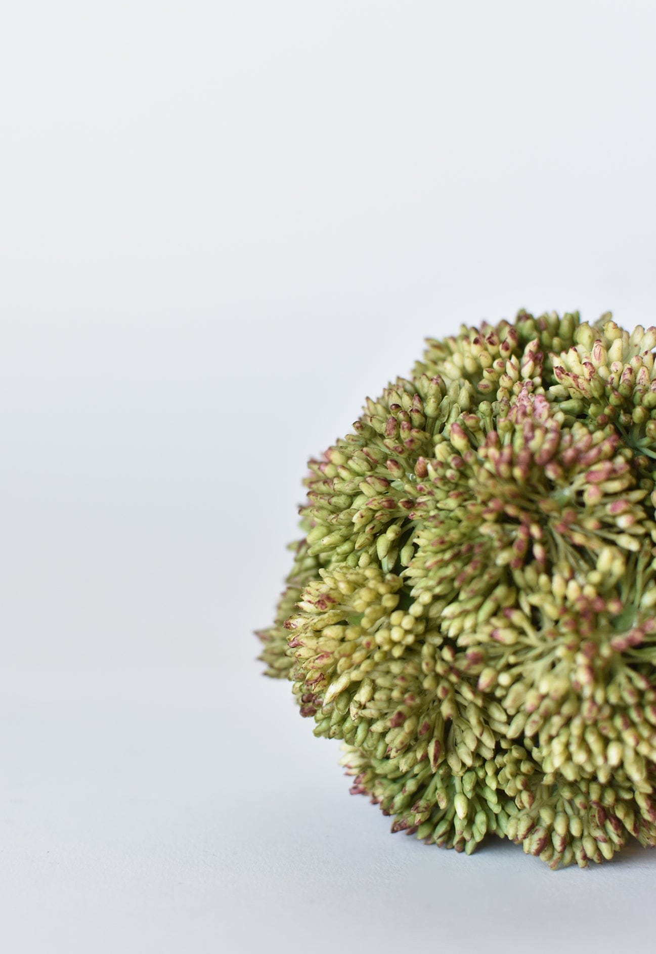 4&amp;quot; Faux Green Sedum Ball