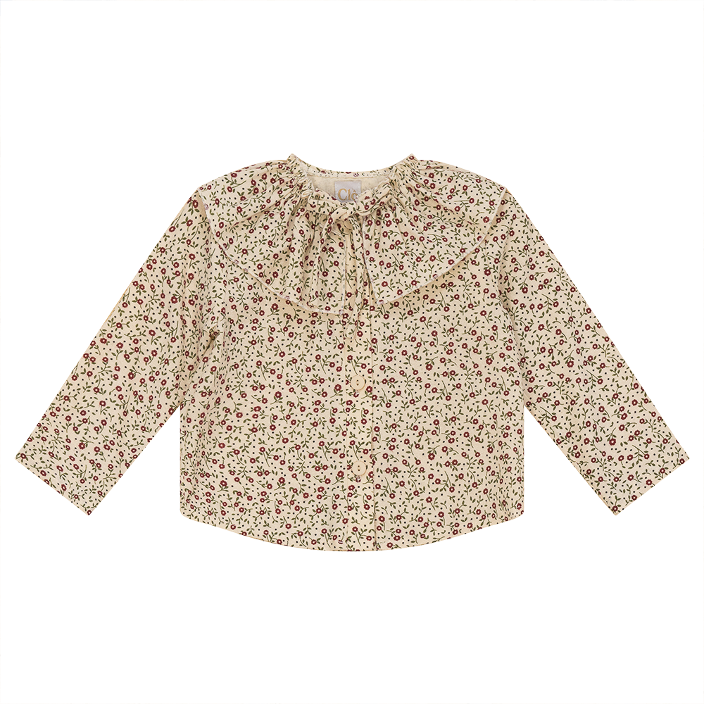 Floral Top with Insert Collar