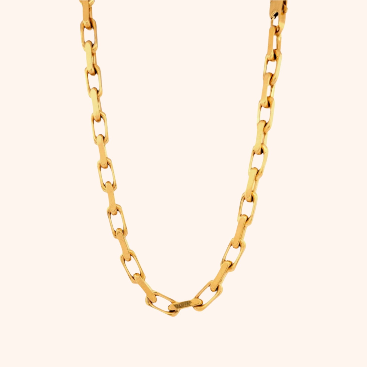 Expedition Chain Necklace