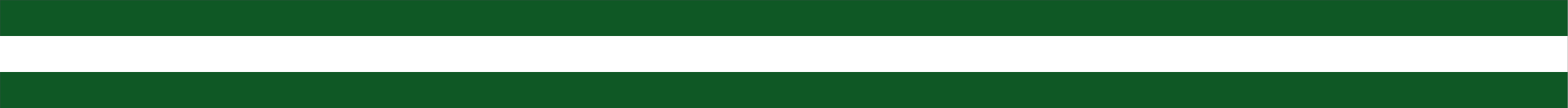 DARK GREEN &amp;amp; WHITE TRIPLE STRIPE REFLECTIVE HELMET TRIM