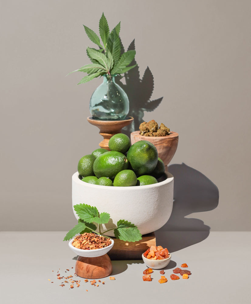 hashish bud &amp;amp; black tea™ fragrance oil