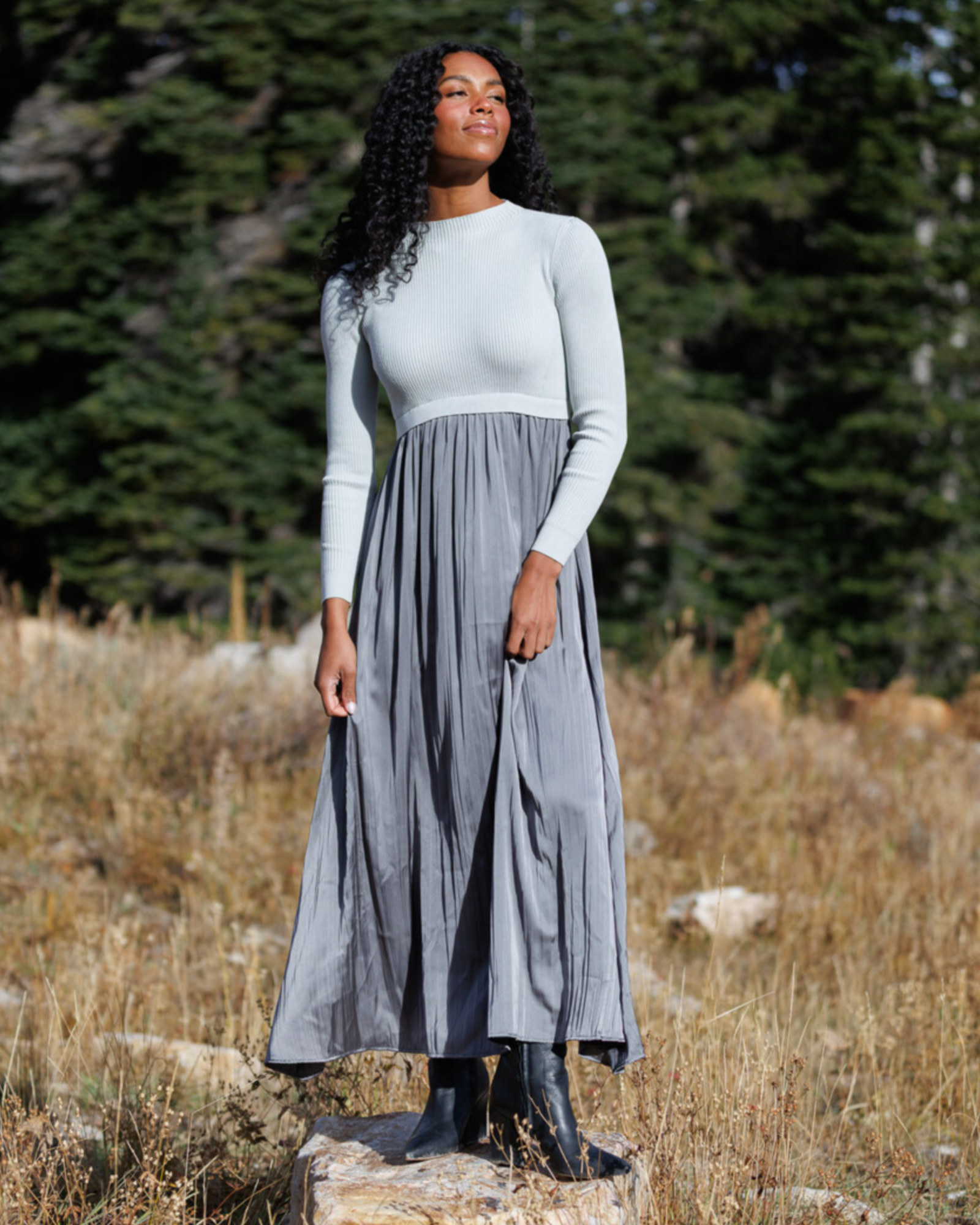 Holiday Hybrid Dress