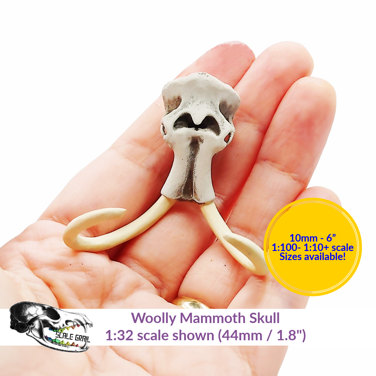 Woolly Mammoth Skull (Field Bones #4: Extinct) miniature replica by The Scale Grail