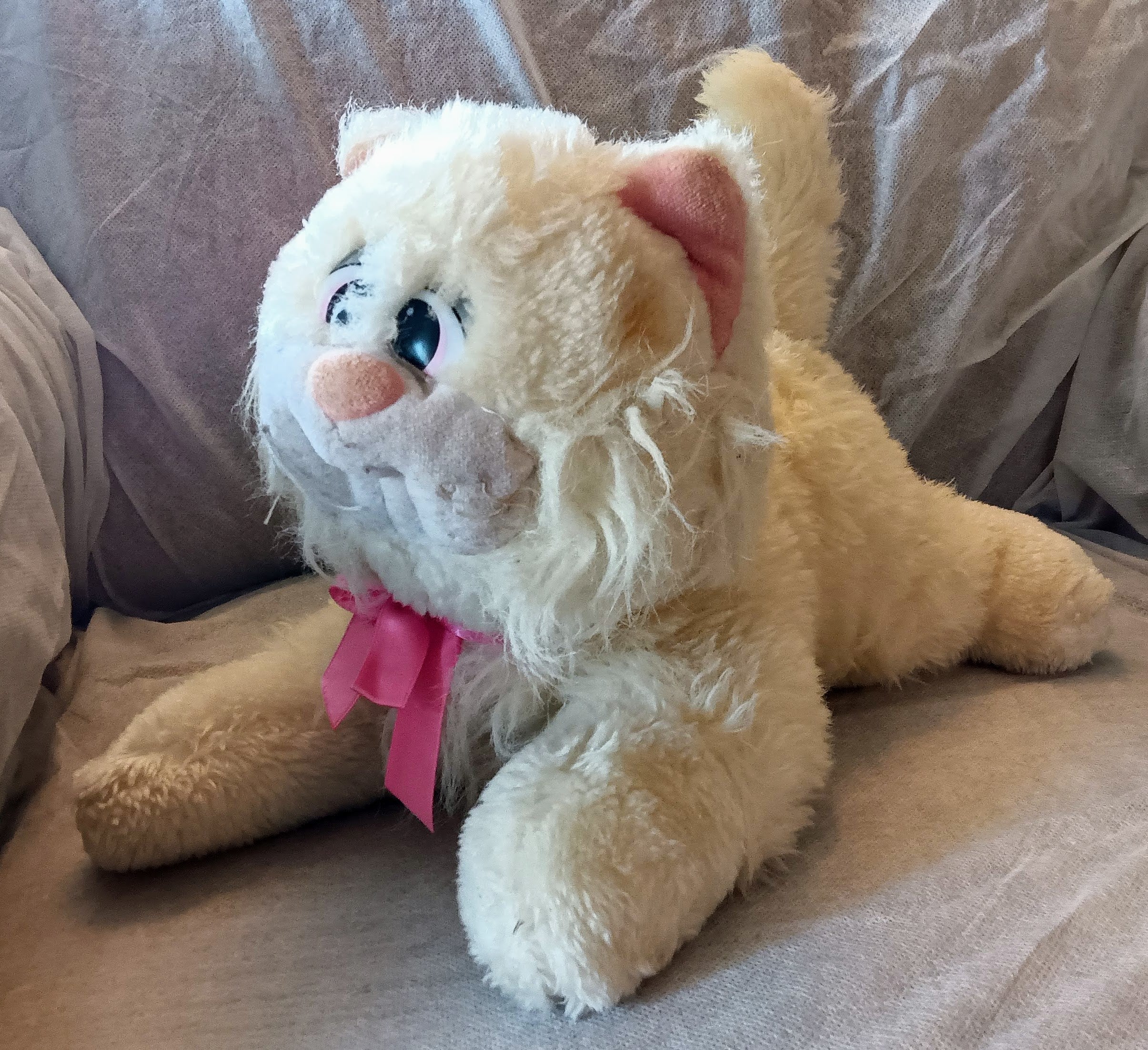 Pound Purries Furries - White Cat