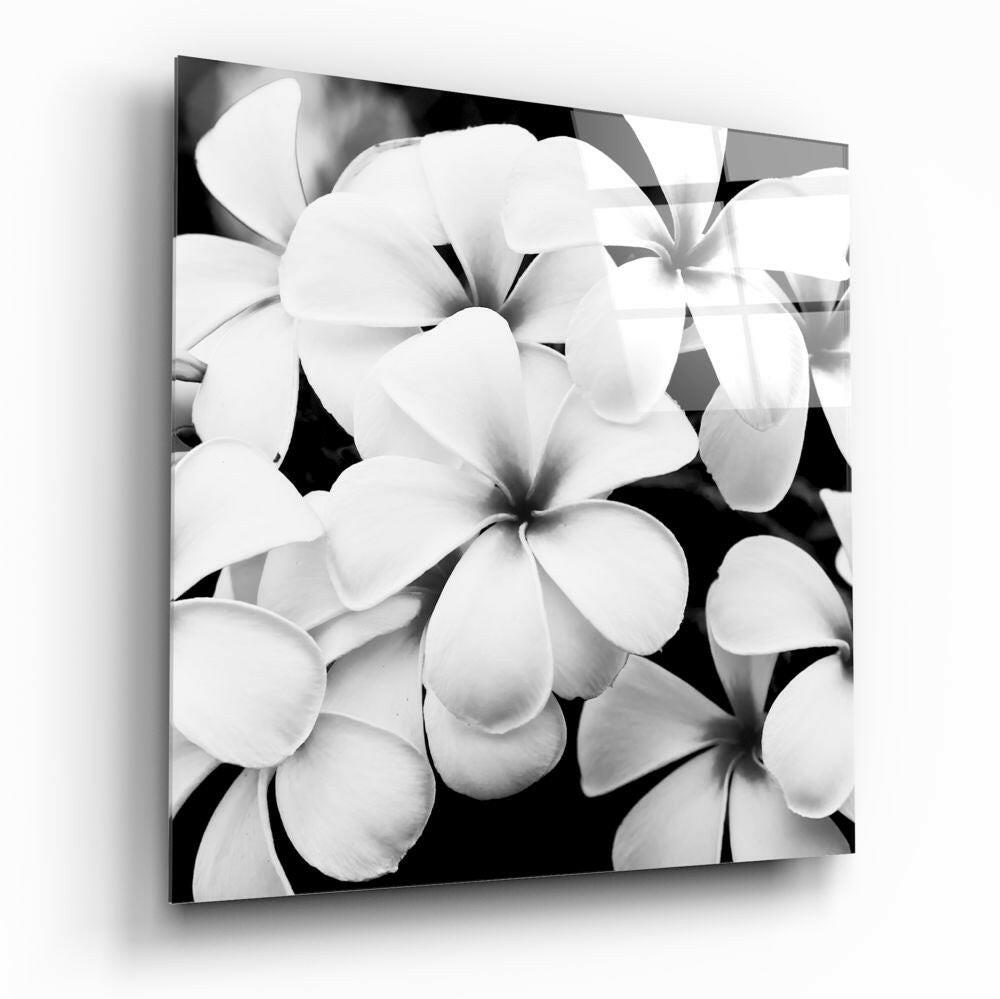 Black and White Flowers Glass Wall Art