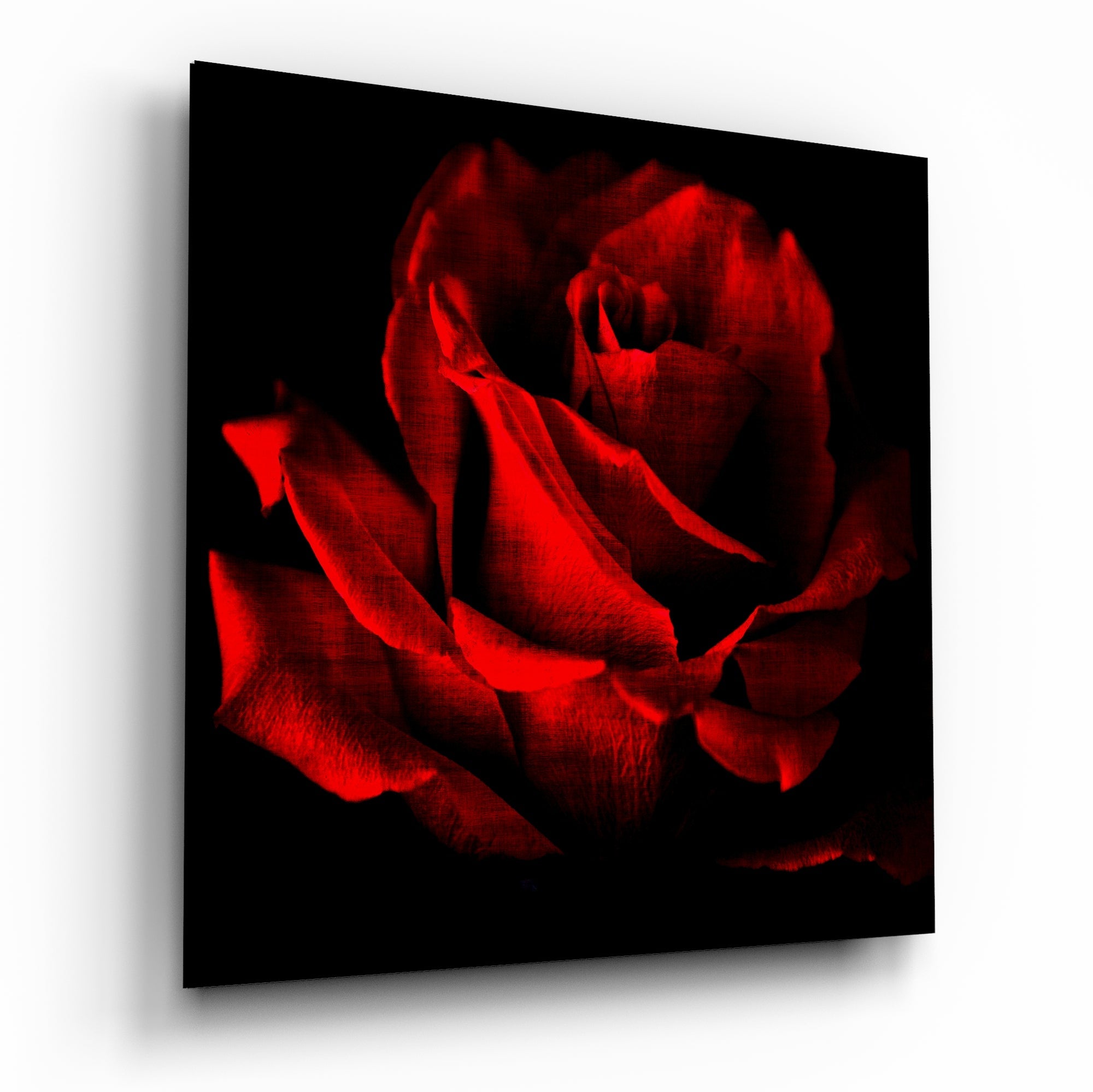 Red Rose Glass Wall Art
