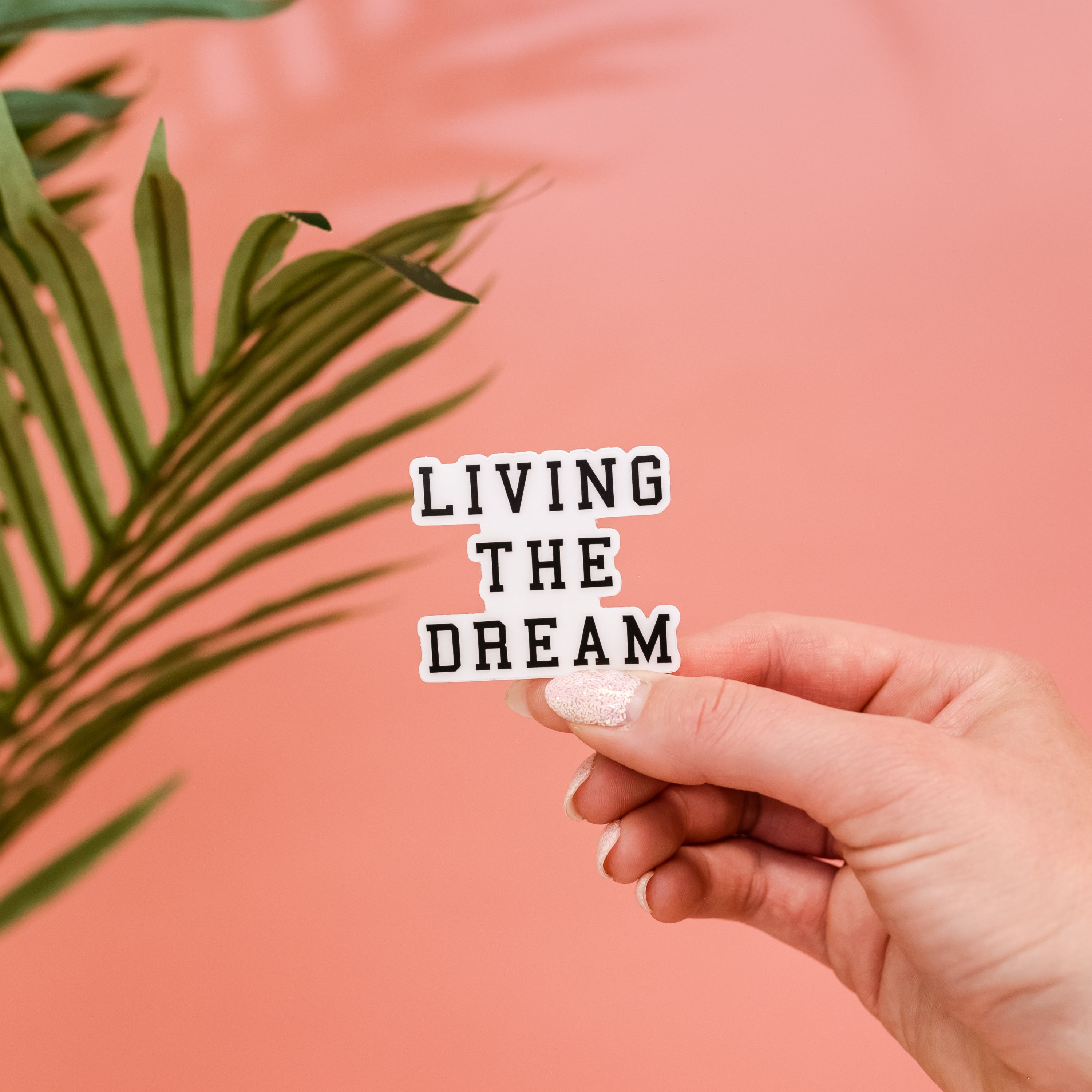 LMSS® STICKER - LIVING THE DREAM