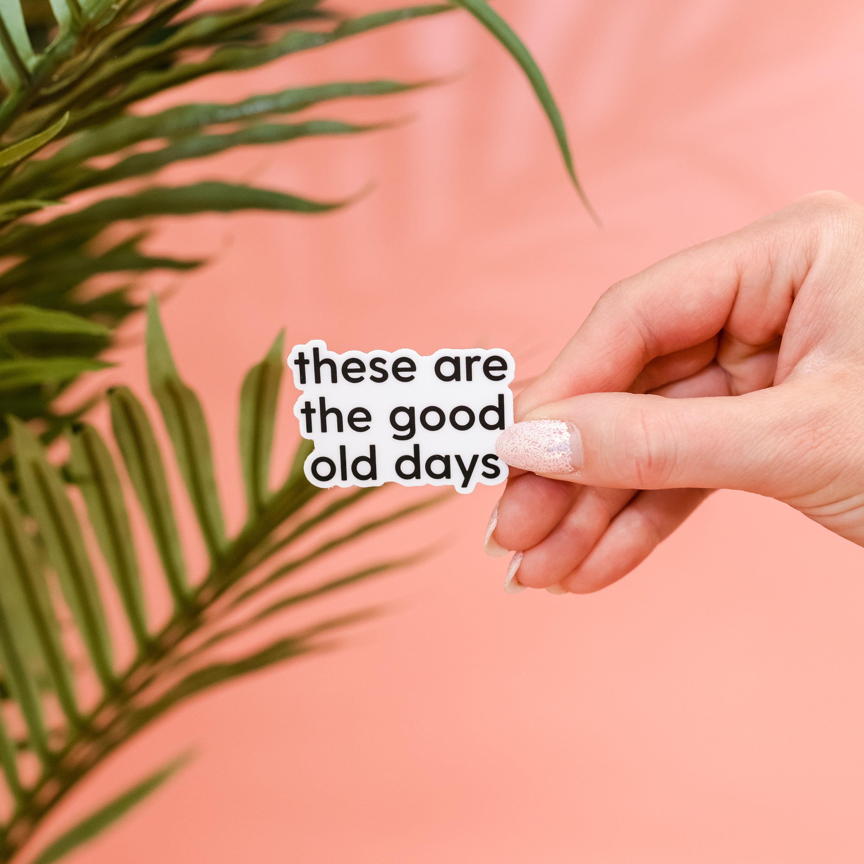 LMSS® STICKER - These Are The Good Old Days - Black and White