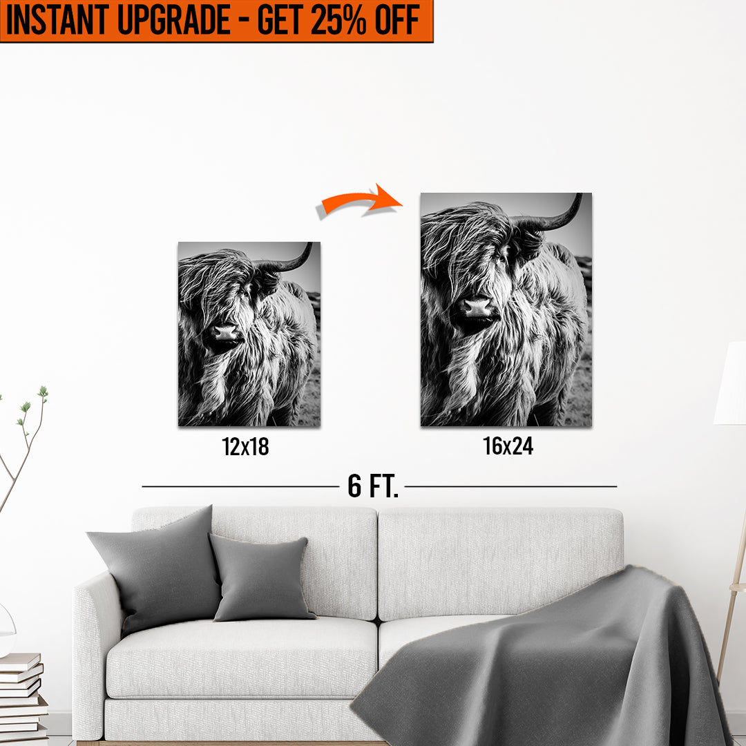 Upgrade Your 18x12 Inches &amp;#39;Black And White Highland Cow Portrait&amp;#39; Canvas To 16x24 Inches