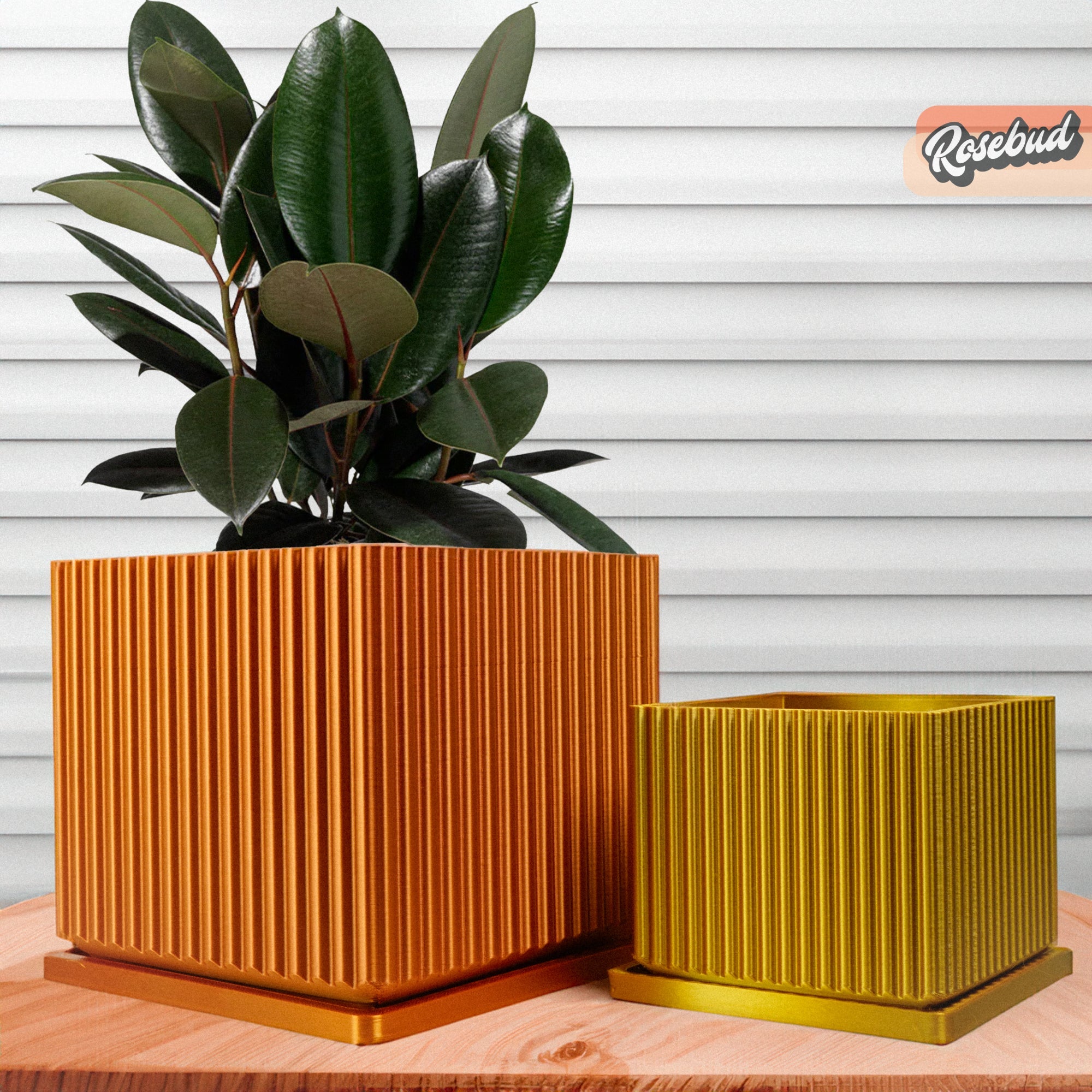 Desert Vista Planter Pot - Perfect Fit Drip Tray, Mesh Drainage