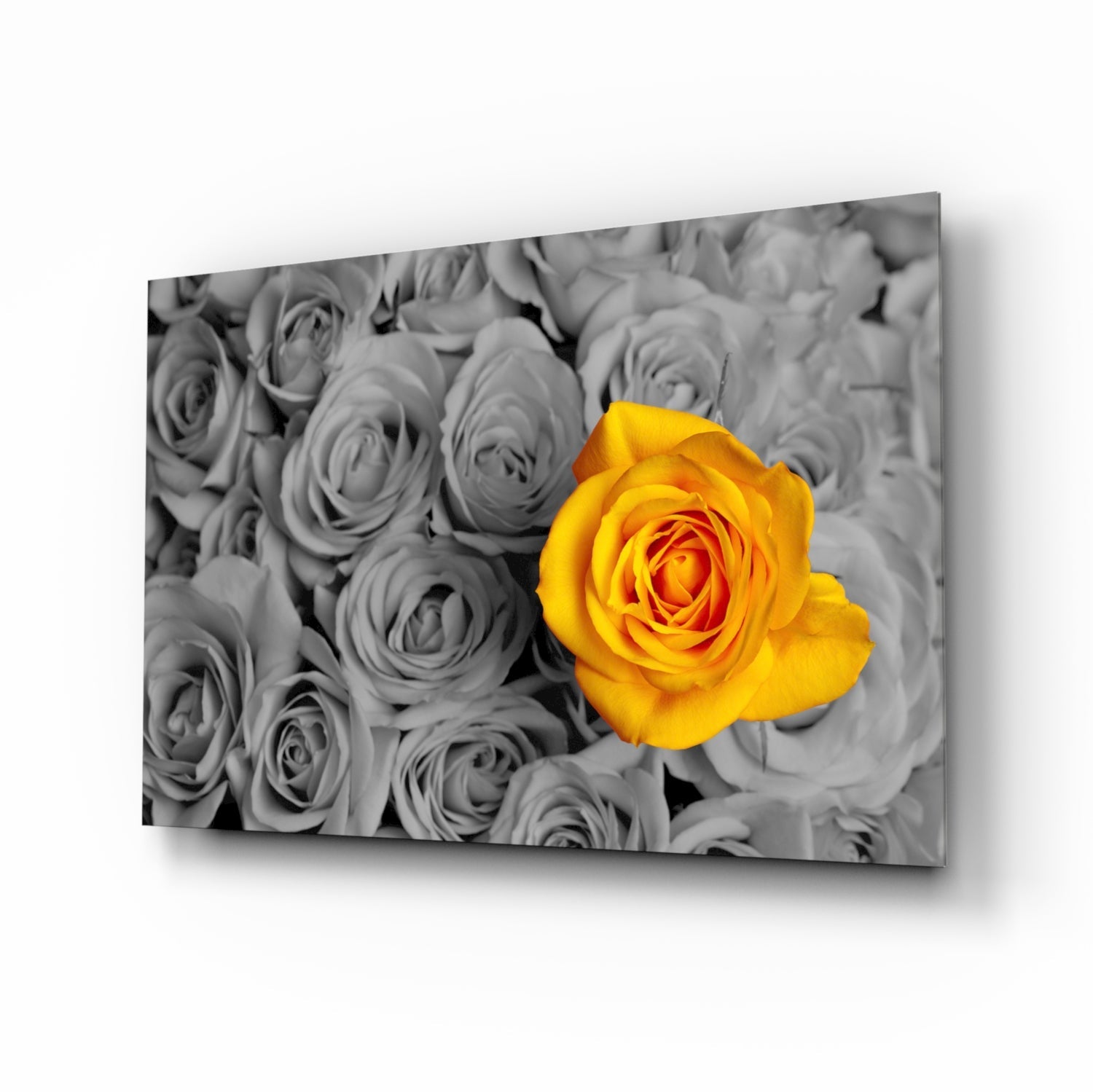 Yellow Rose Glass Wall Art