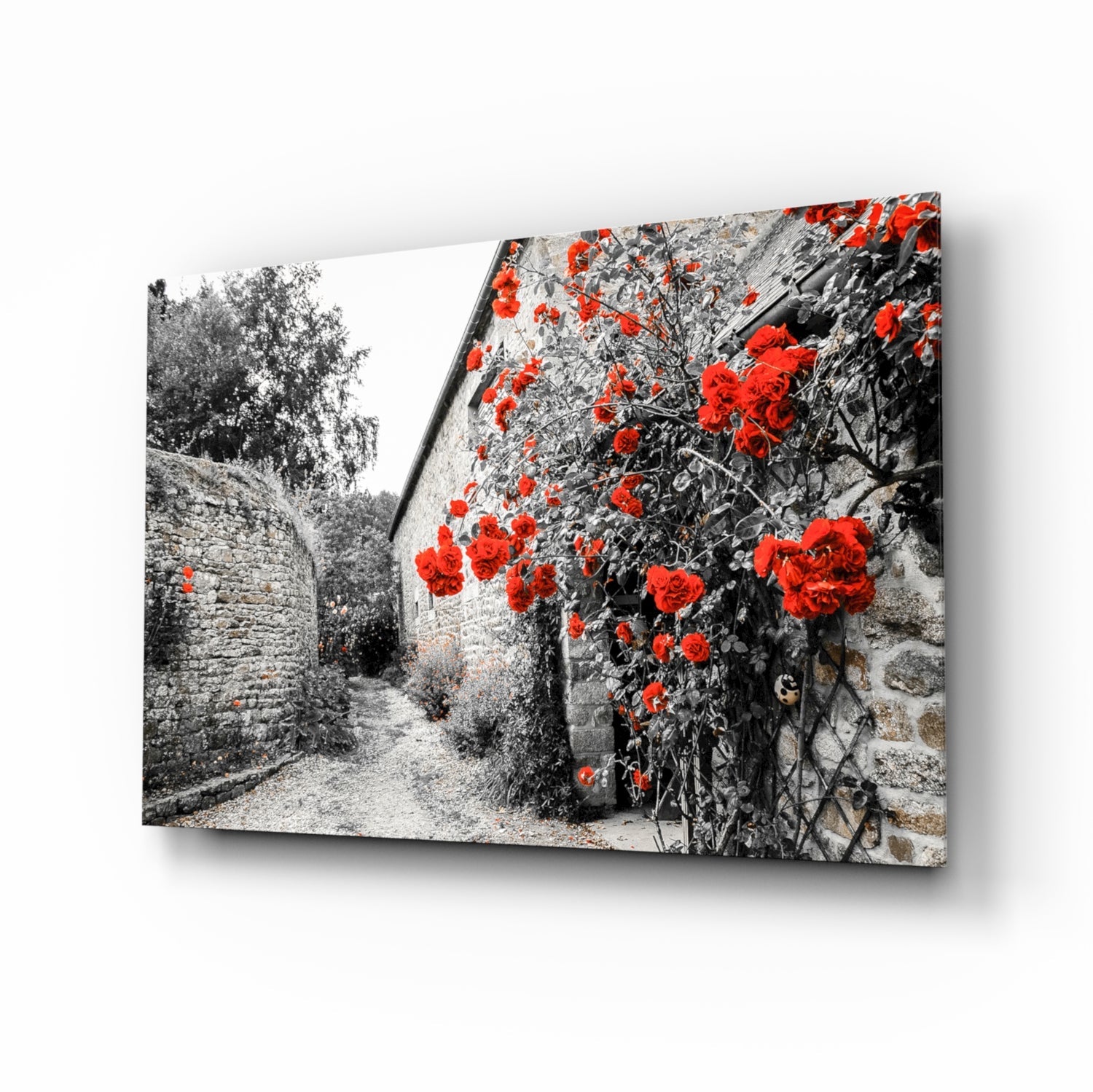 Red Rose Glass Wall Art