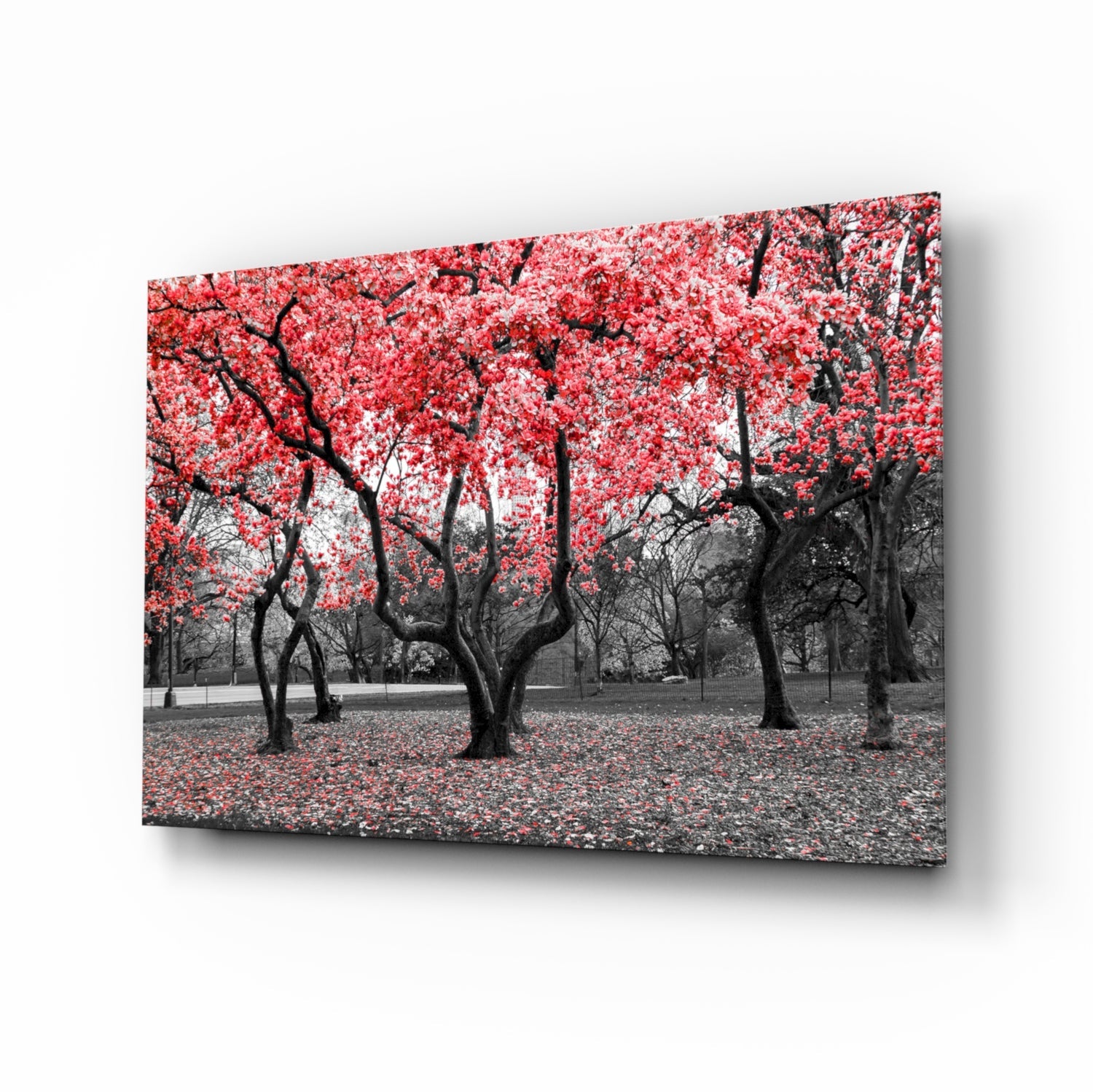 Red Tree Glass Wall Art