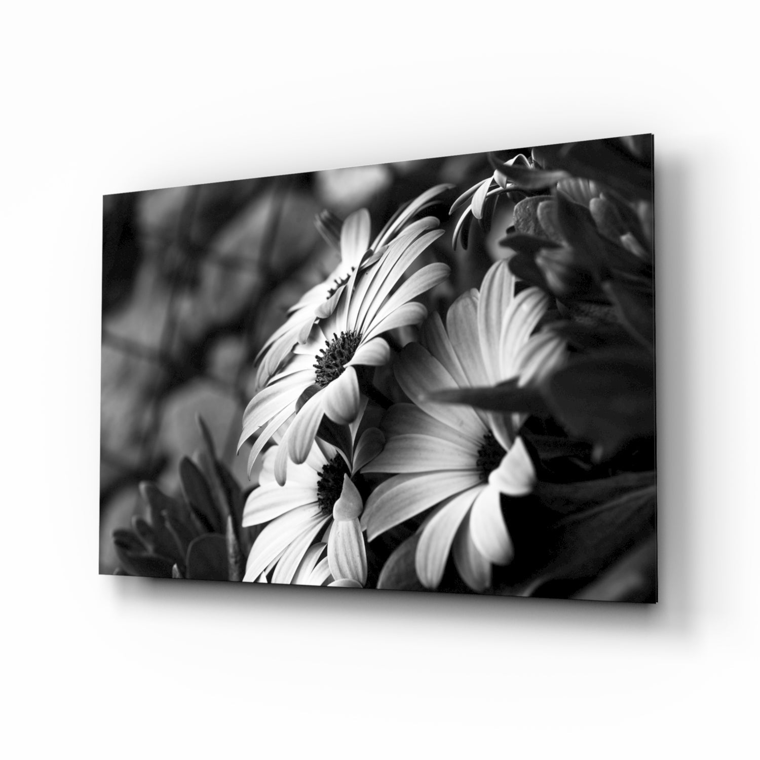Black - White Flower Glass Wall Art