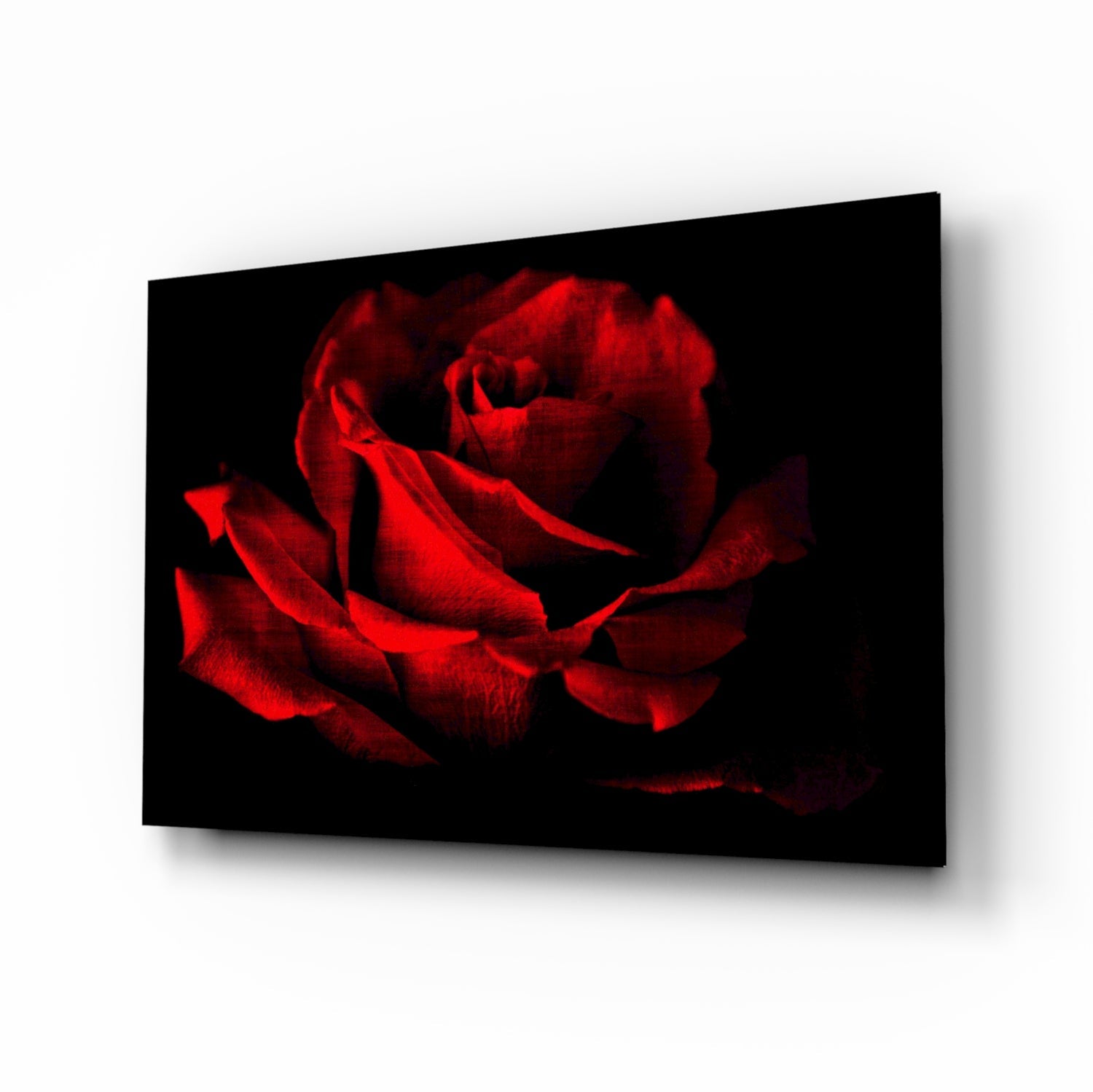 Red Rose Glass Wall Art