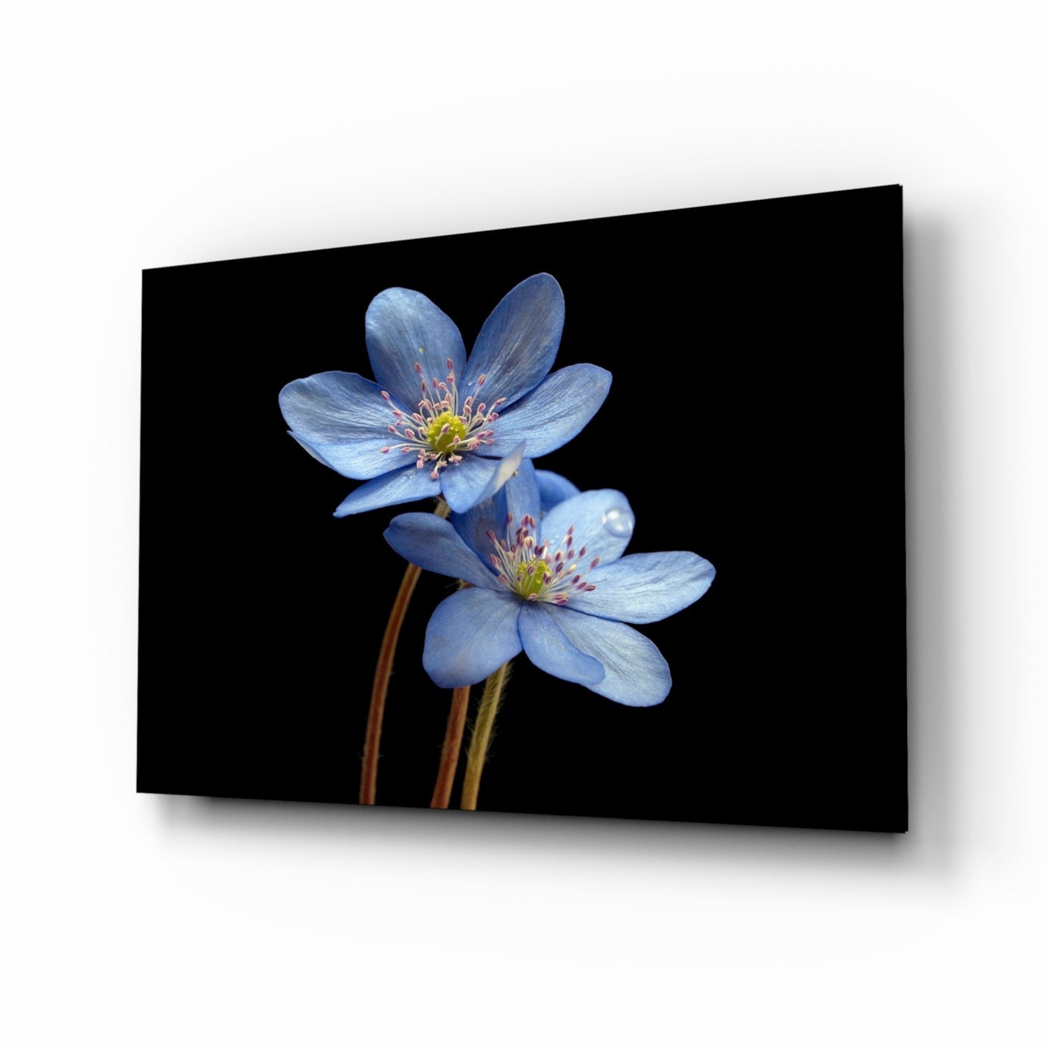 Blue Flower Glass Wall Art