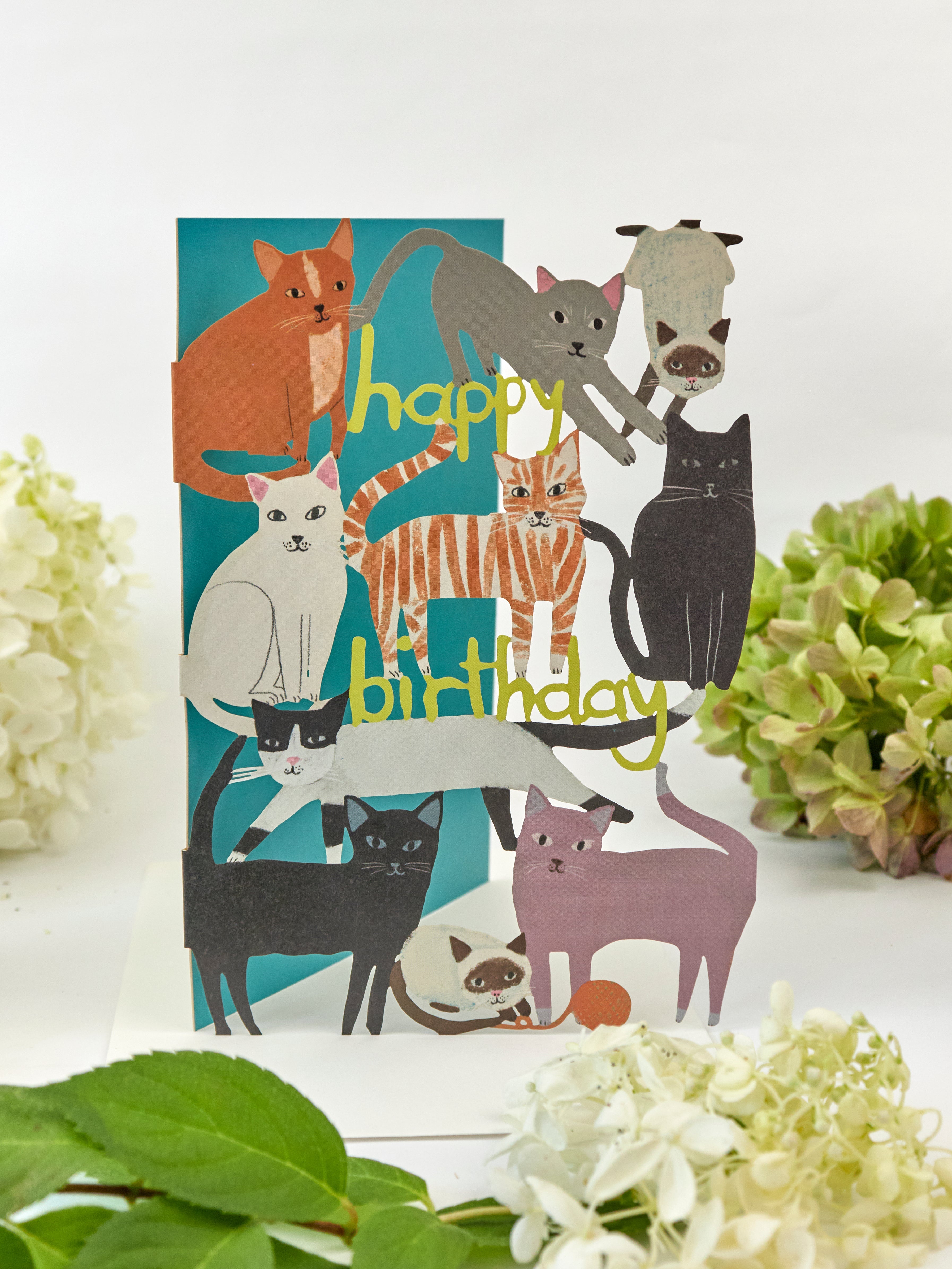 Playful Cats Lasercut  Birthday Card