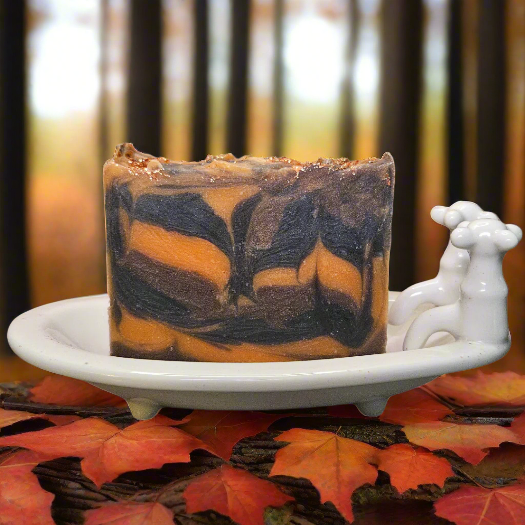 Purposely Preposterous Aloe Vera Bar Soap - Fall Magic