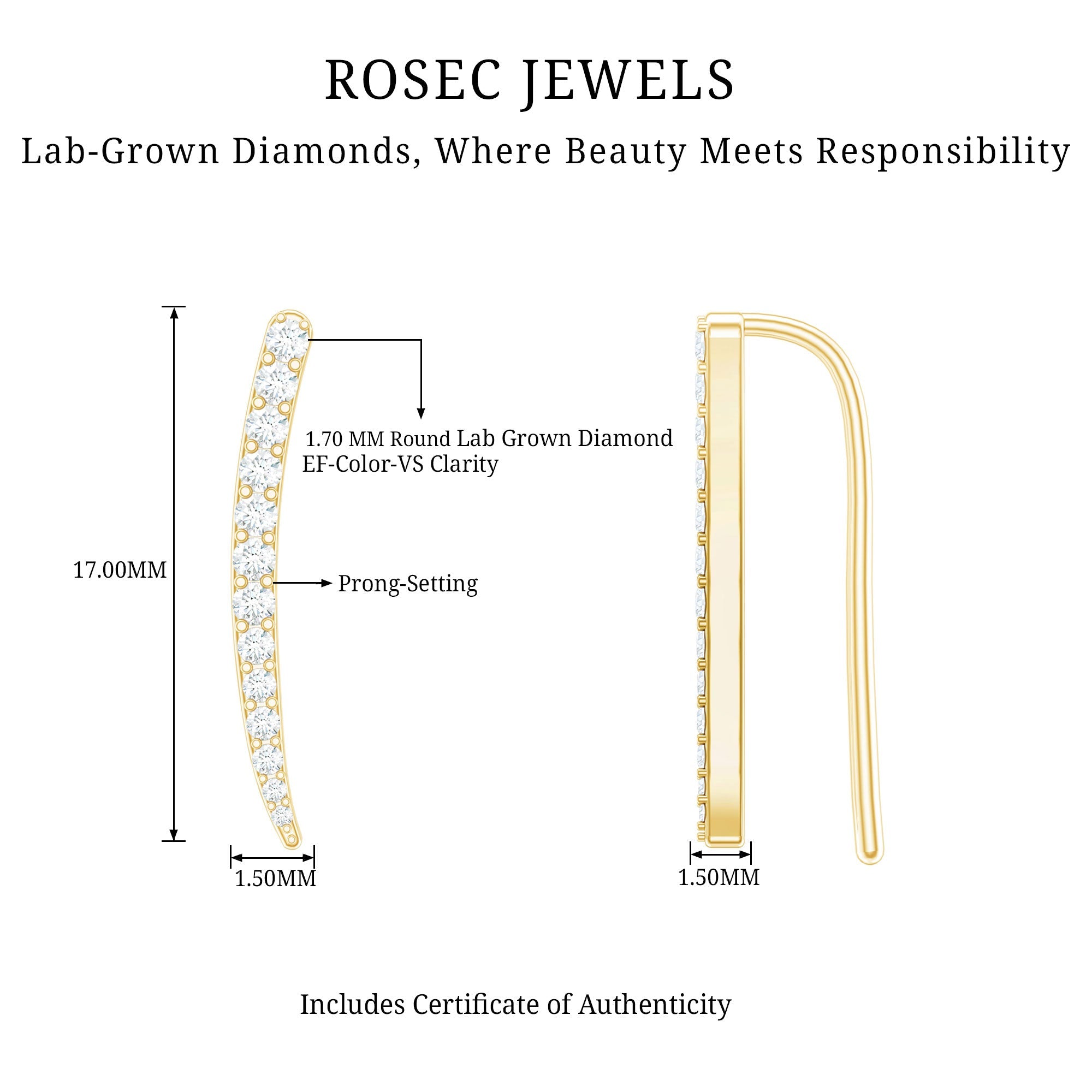 Graduated Style Diamond Climber Helix Earring