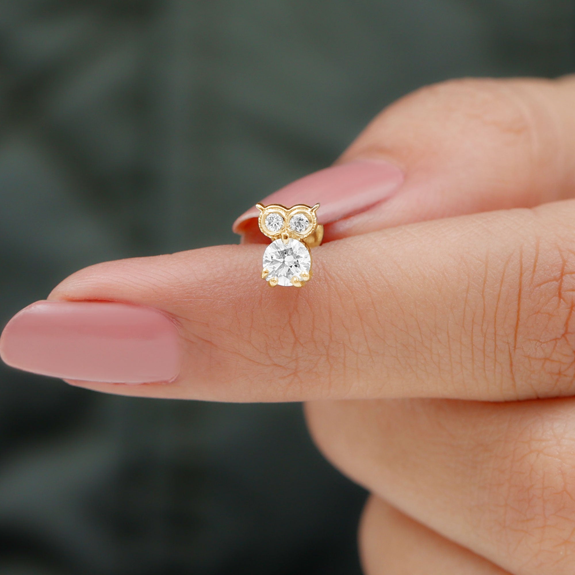 Diamond Owl Earring for Cartilage Piercing