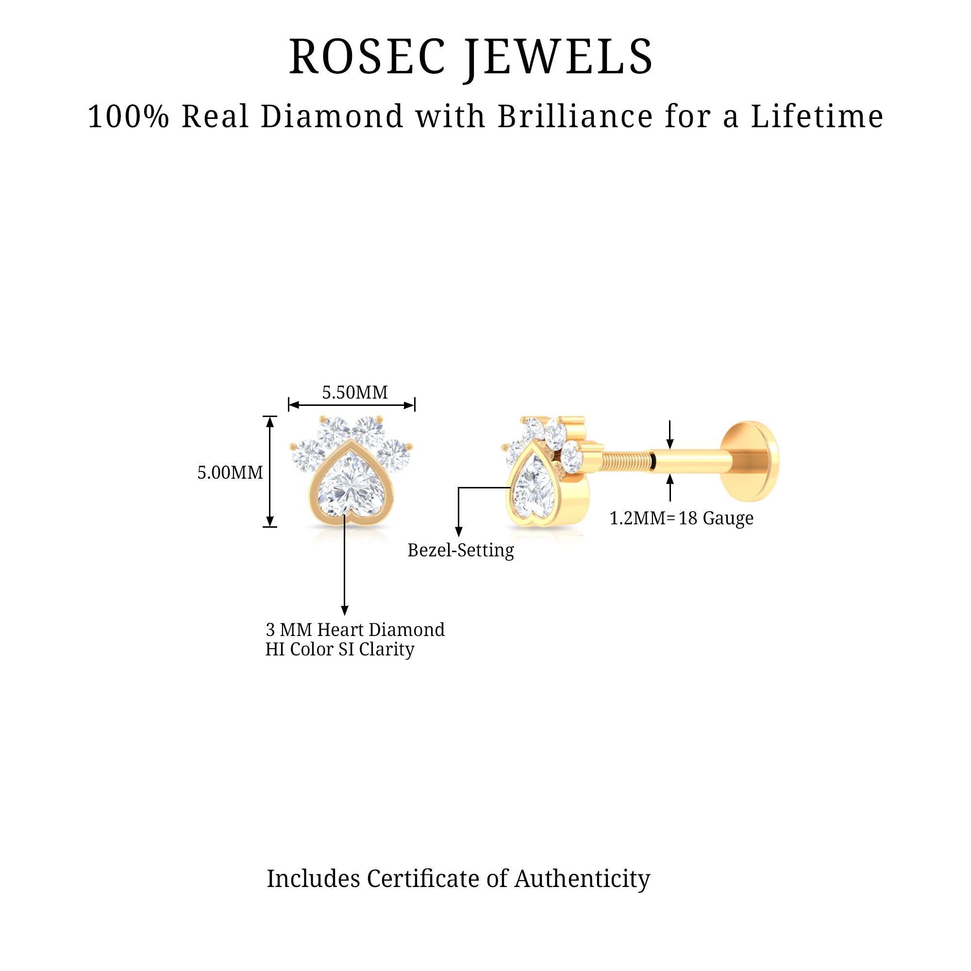 Heart Shape Diamond Dog Paw Print Earring