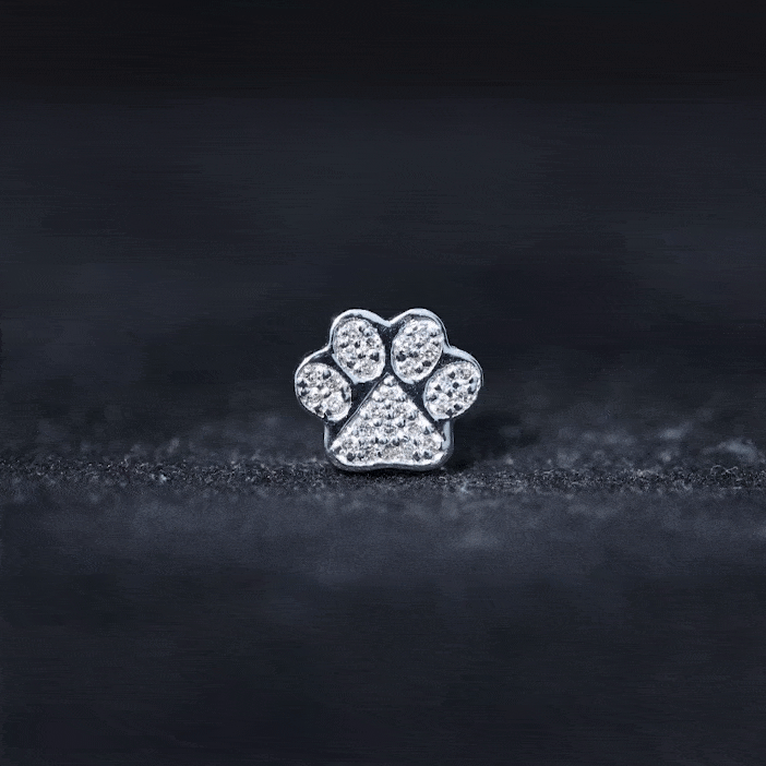 Moissanite Gold Dog Paw Print Earring for Cartilage Piercing
