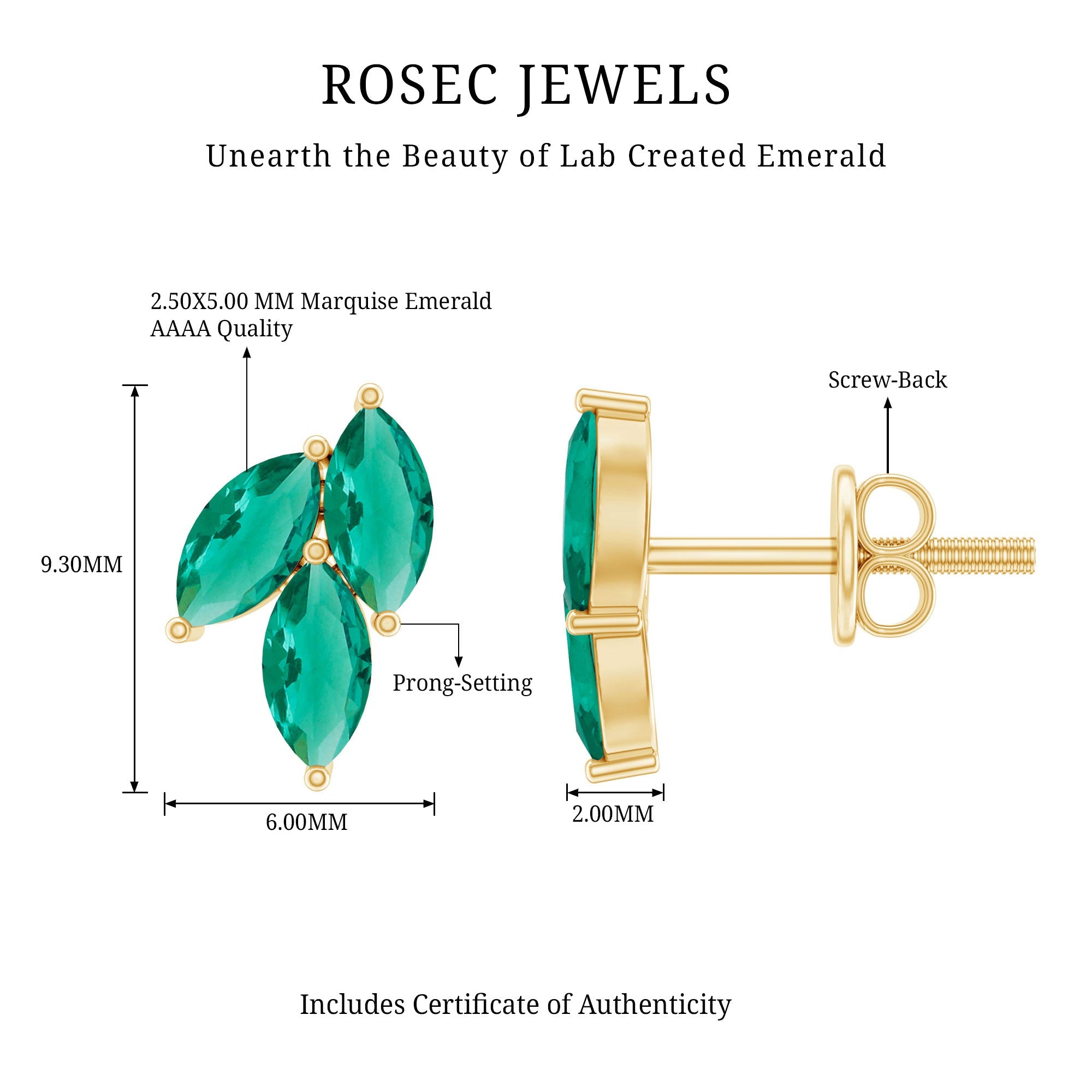 Nature Inspired Lab Created Emerald Stud Earrings in Silver