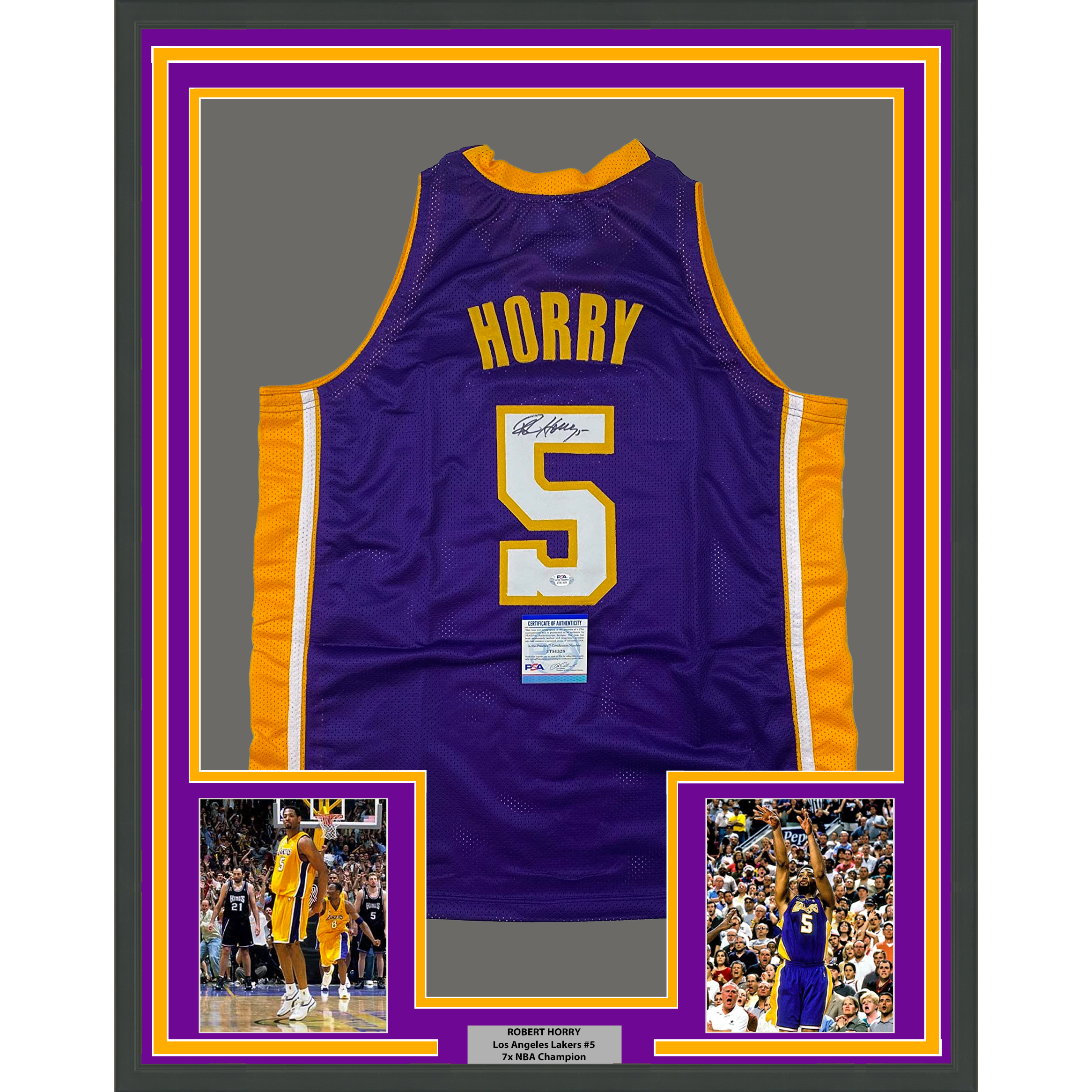 Framed Autographed/Signed Robert Horry 35x39 Los Angeles LA Purple Basketball Jersey PSA/DNA COA