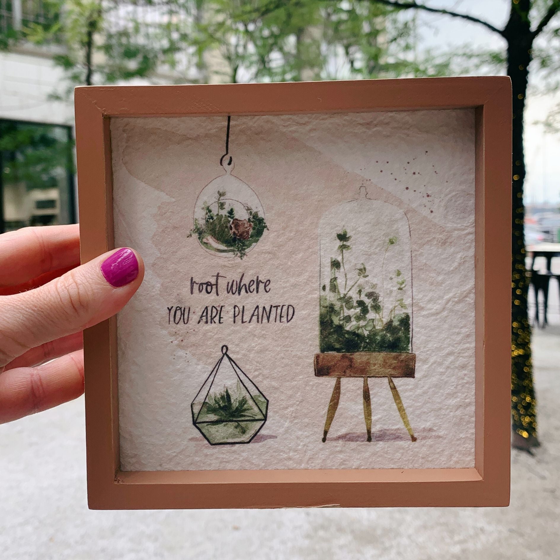 Root Where You Are Planted Inspo Box Sign | Plant Lovers Square Inset Wooden Decor | 6&amp;quot; x 6&amp;quot;