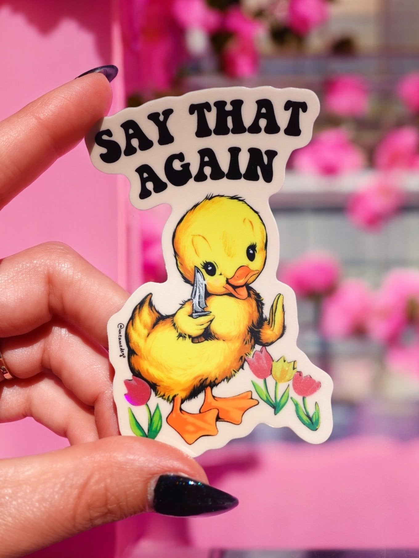 Say That Again Ducky Sticker