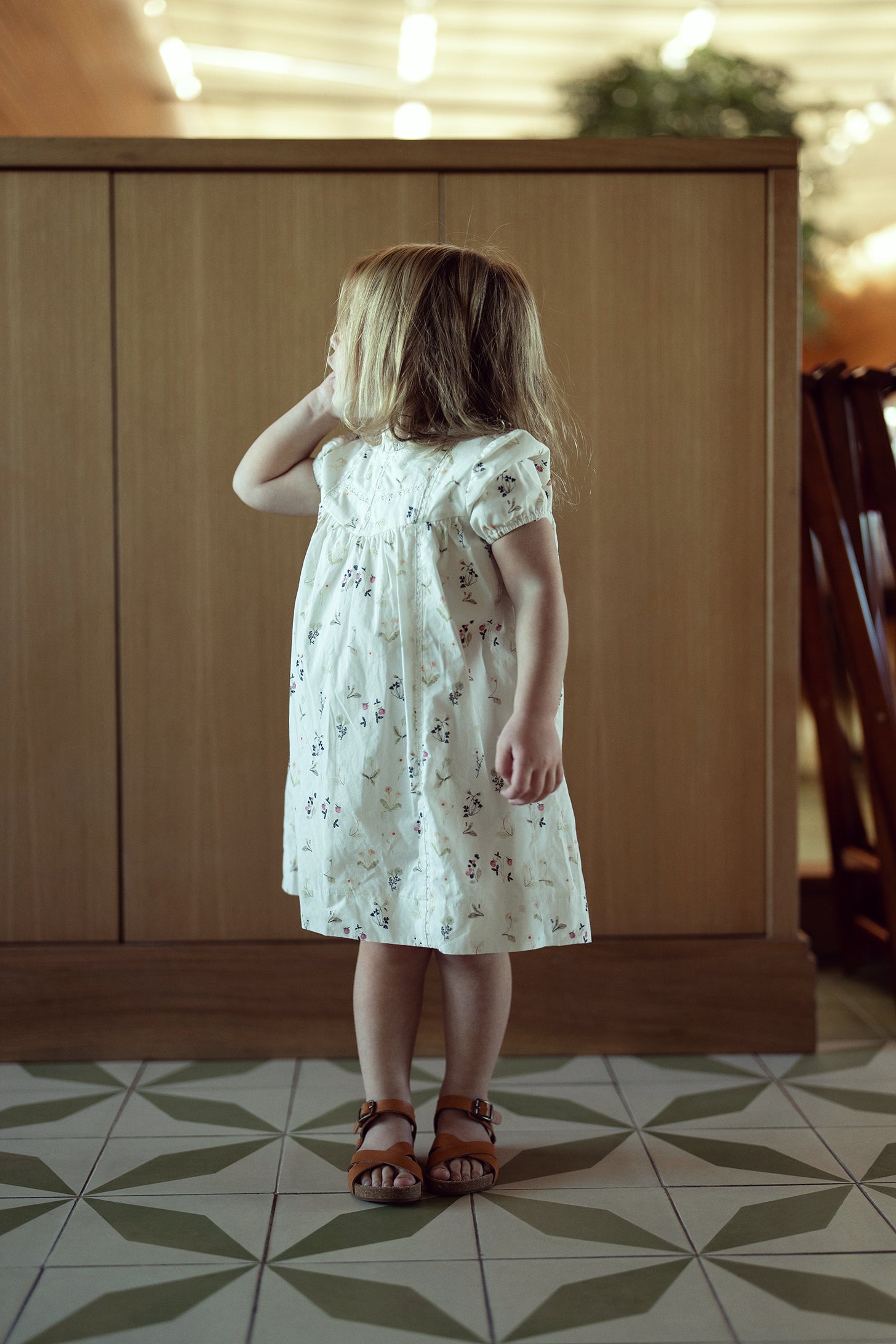 Lace Trim Flower Print Dress