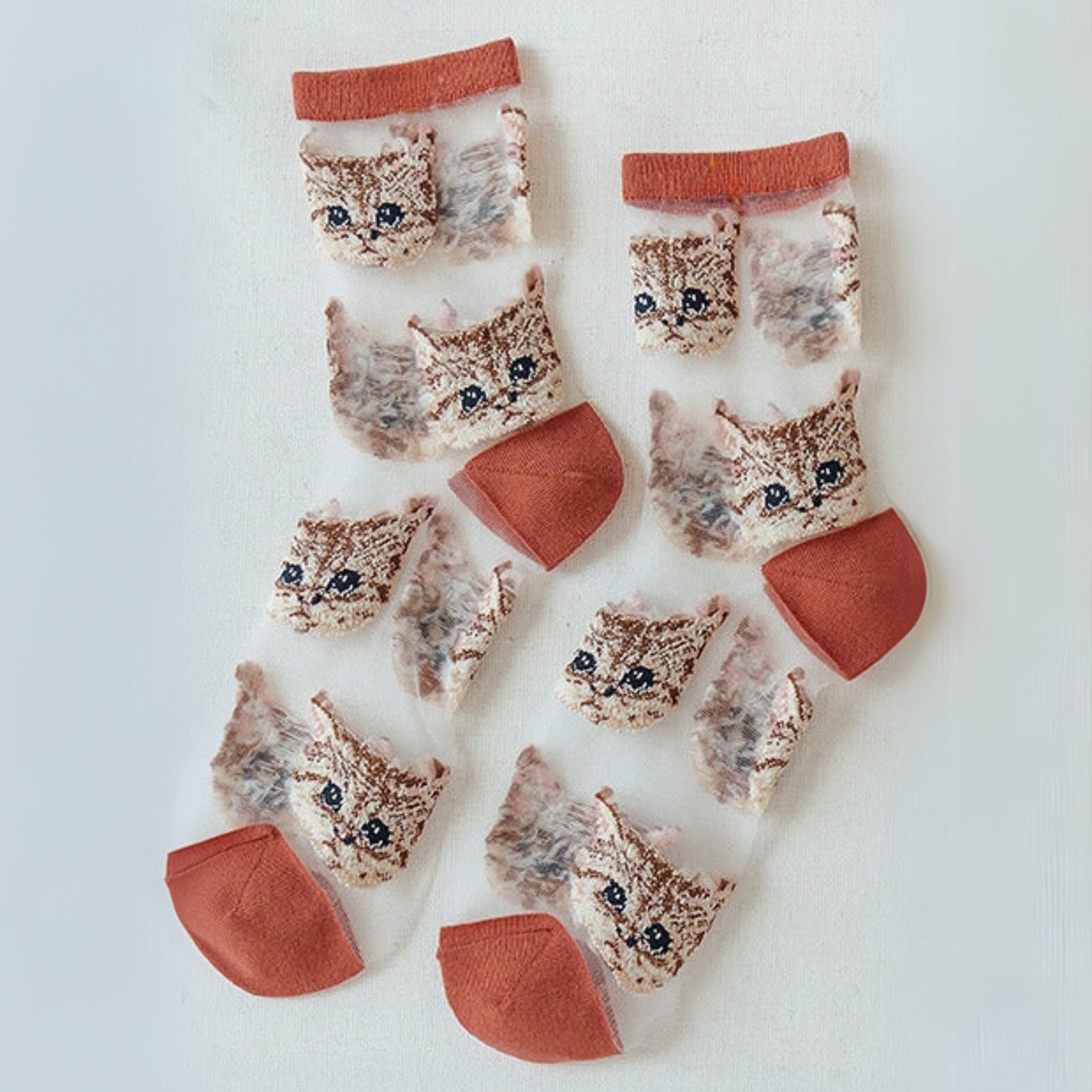 Sheer Cat Lover Socks Available in Yellow Green Red or Black [Fits Women&amp;#39;s Size 5-9]